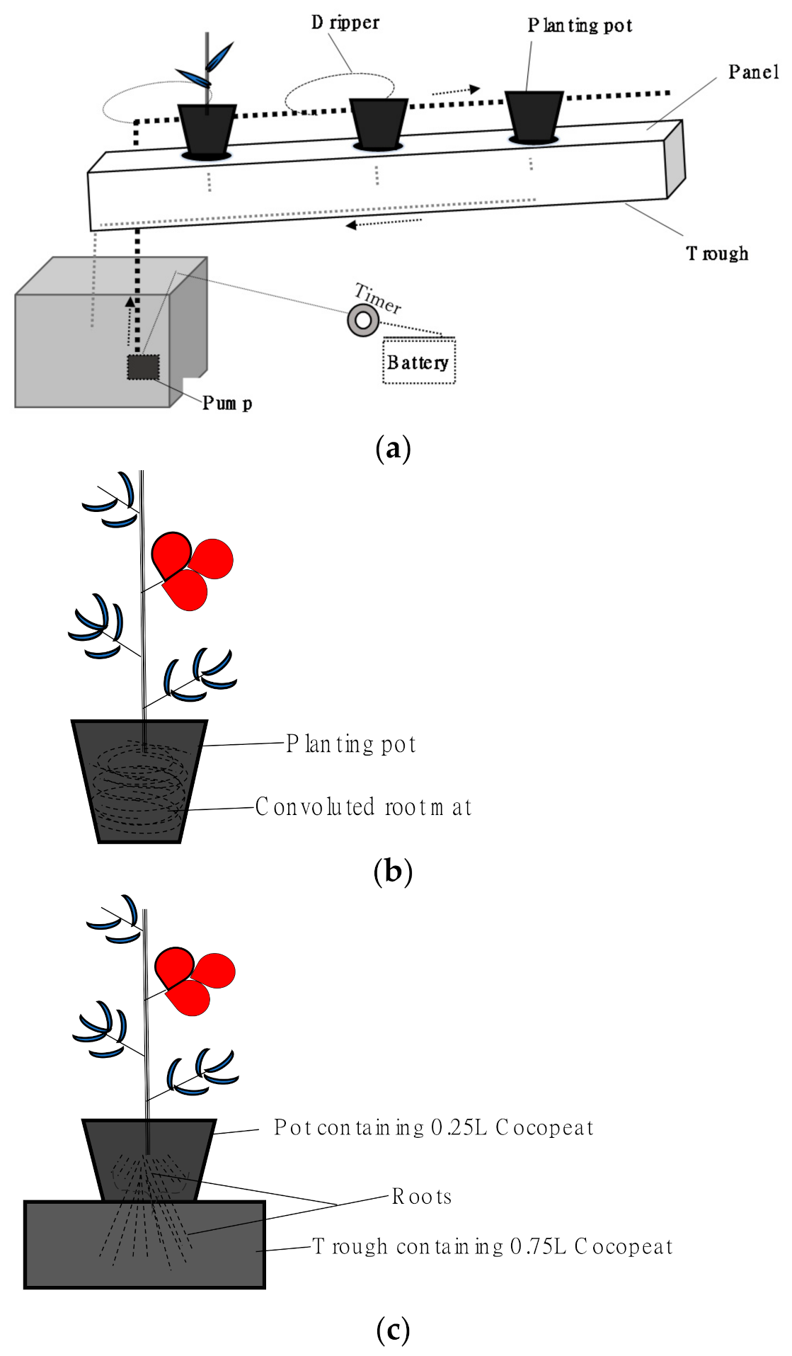 Horticulturae 07 00060 g001 Horticulturae 07 00060 g001