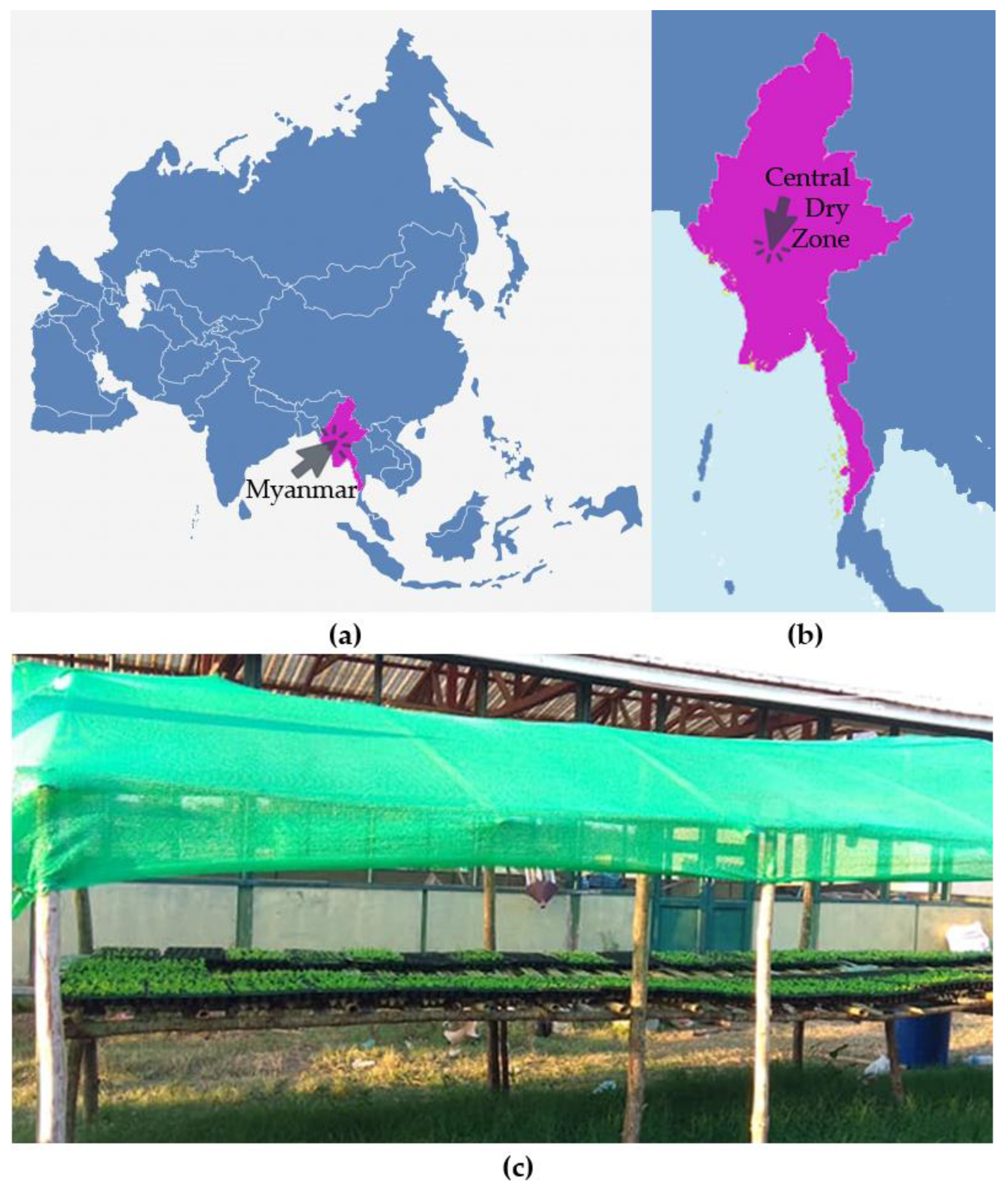 Horticulturae 07 00064 g001 Horticulturae 07 00064 g001