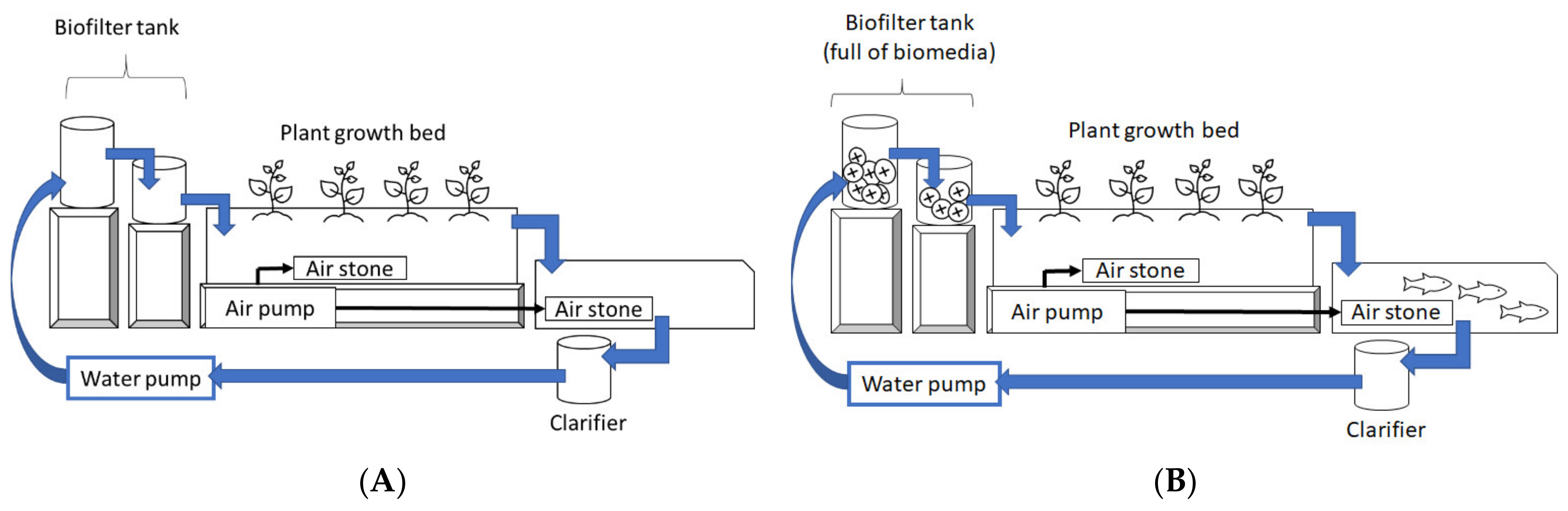 Horticulturae 07 00068 g001