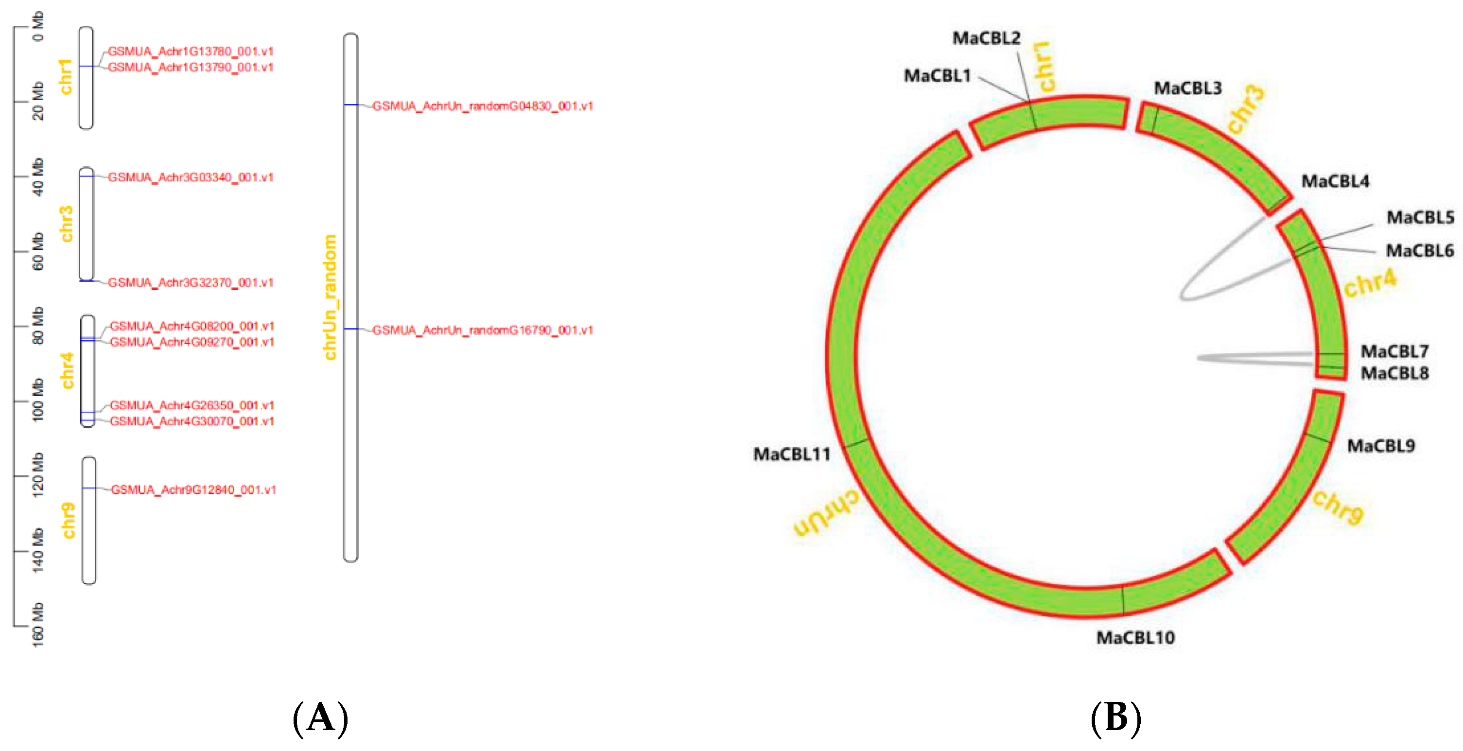 Horticulturae 07 00070 g003 Horticulturae 07 00070 g003
