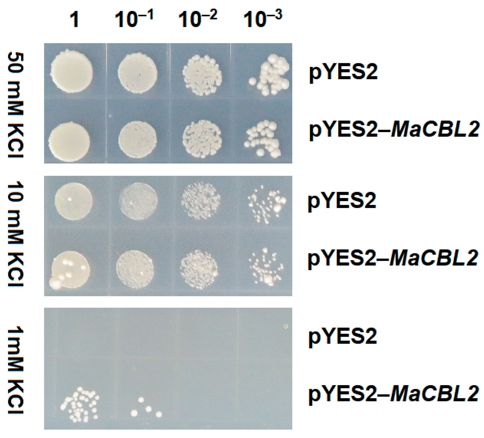 Horticulturae 07 00070 g007 Horticulturae 07 00070 g007