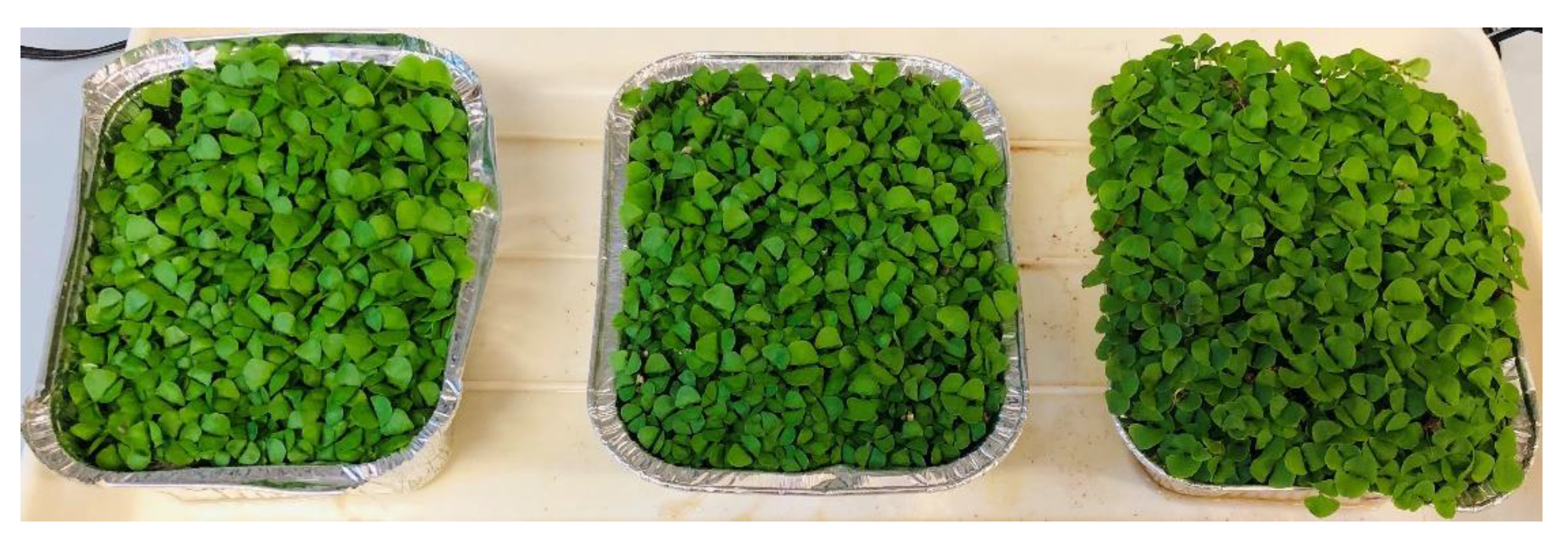 Horticulturae 07 00096 g008 Horticulturae 07 00096 g008