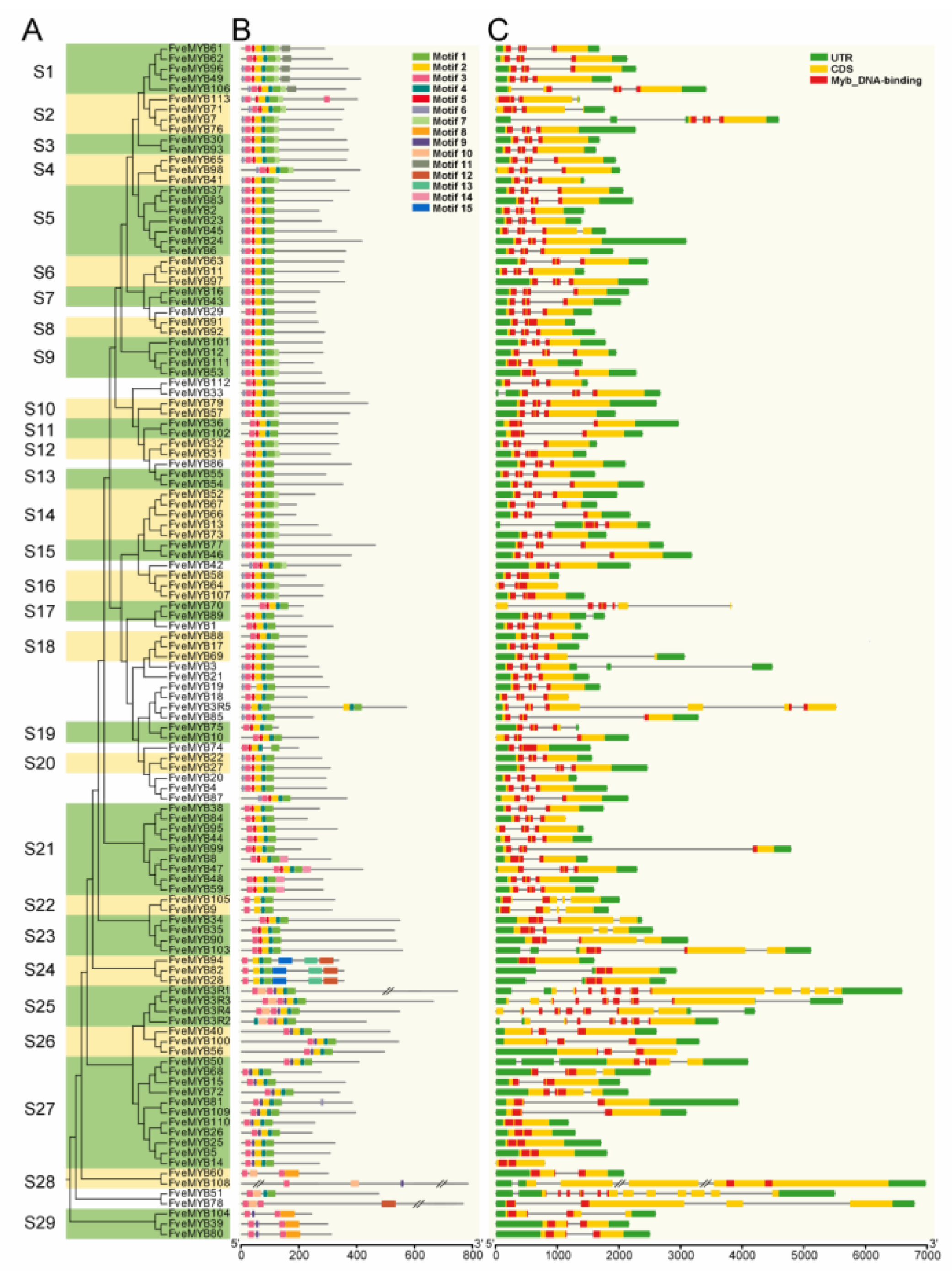 Horticulturae 07 00097 g001 Horticulturae 07 00097 g001