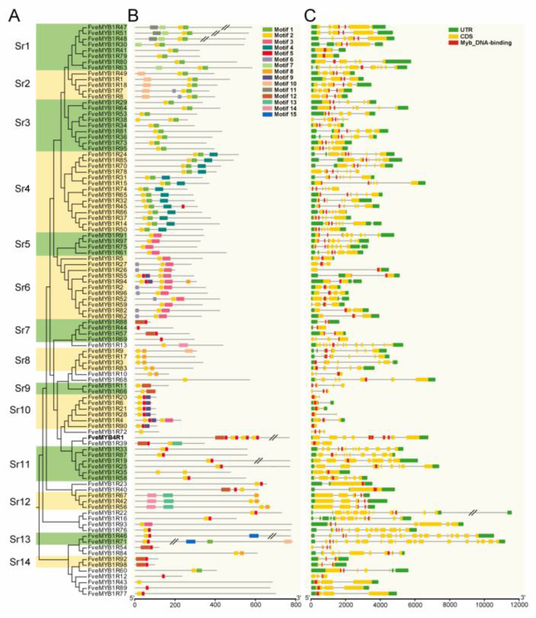 Horticulturae 07 00097 g002 Horticulturae 07 00097 g002