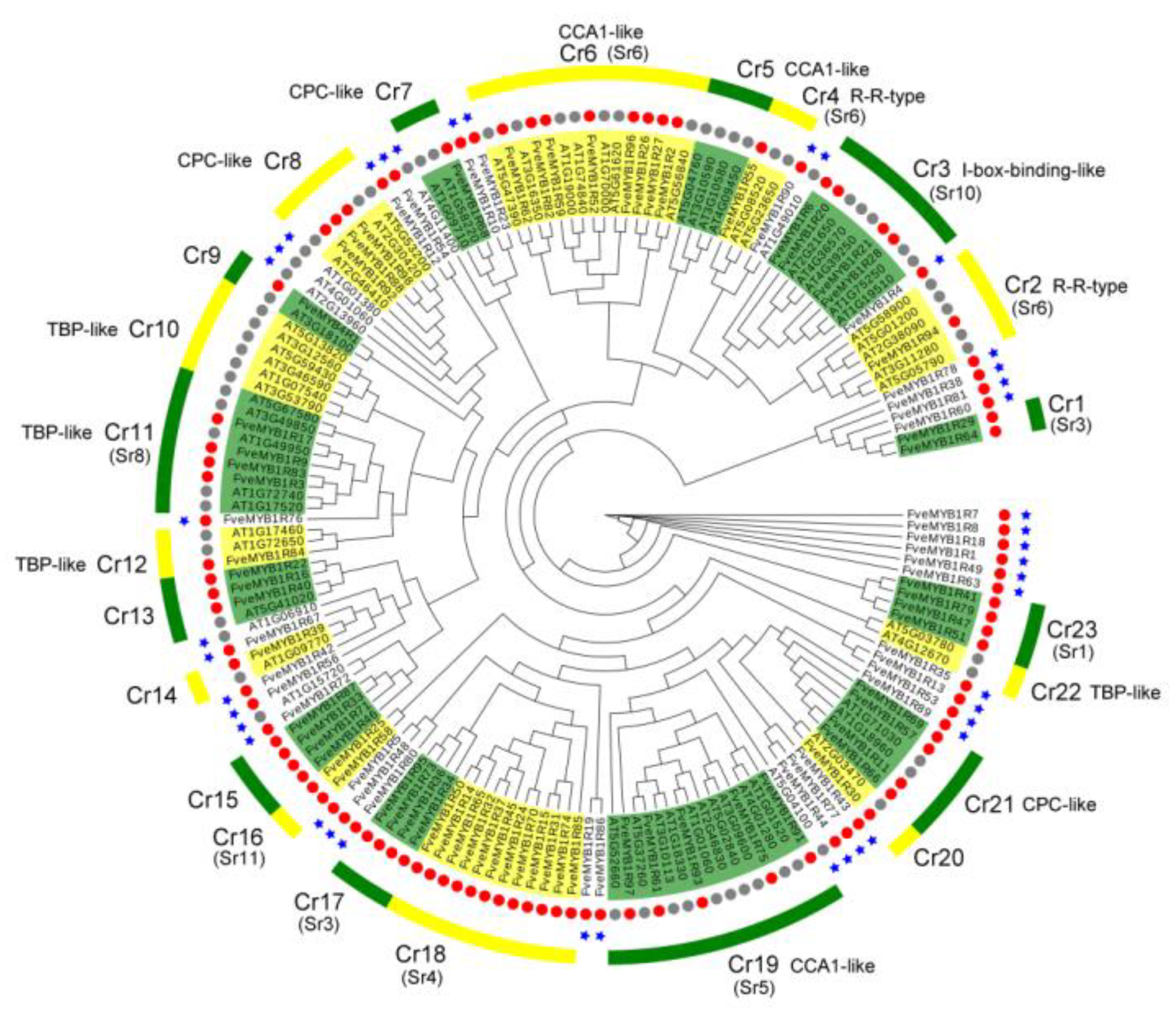 Horticulturae 07 00097 g004 Horticulturae 07 00097 g004