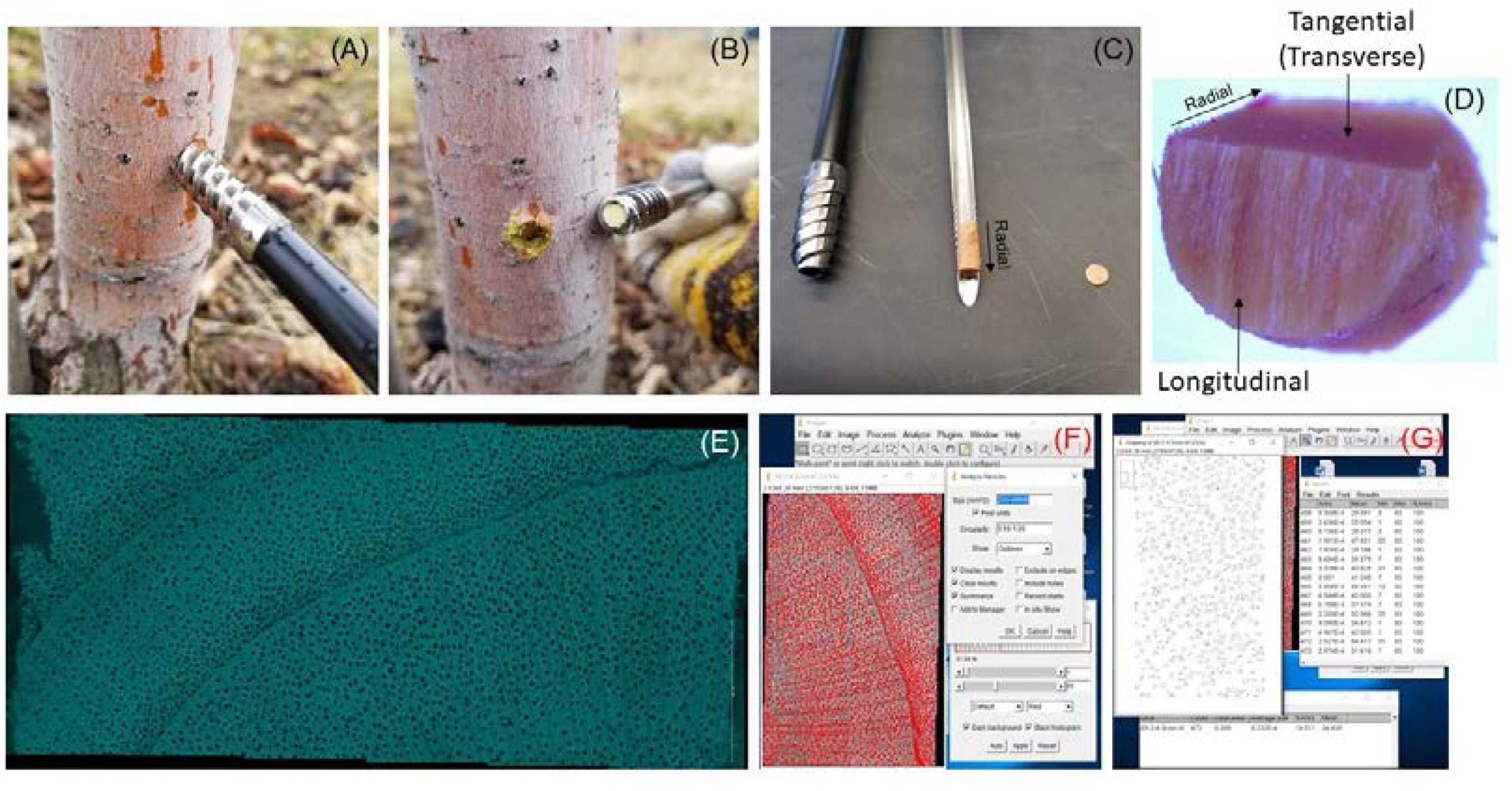 Horticulturae 07 00099 g001 Horticulturae 07 00099 g001