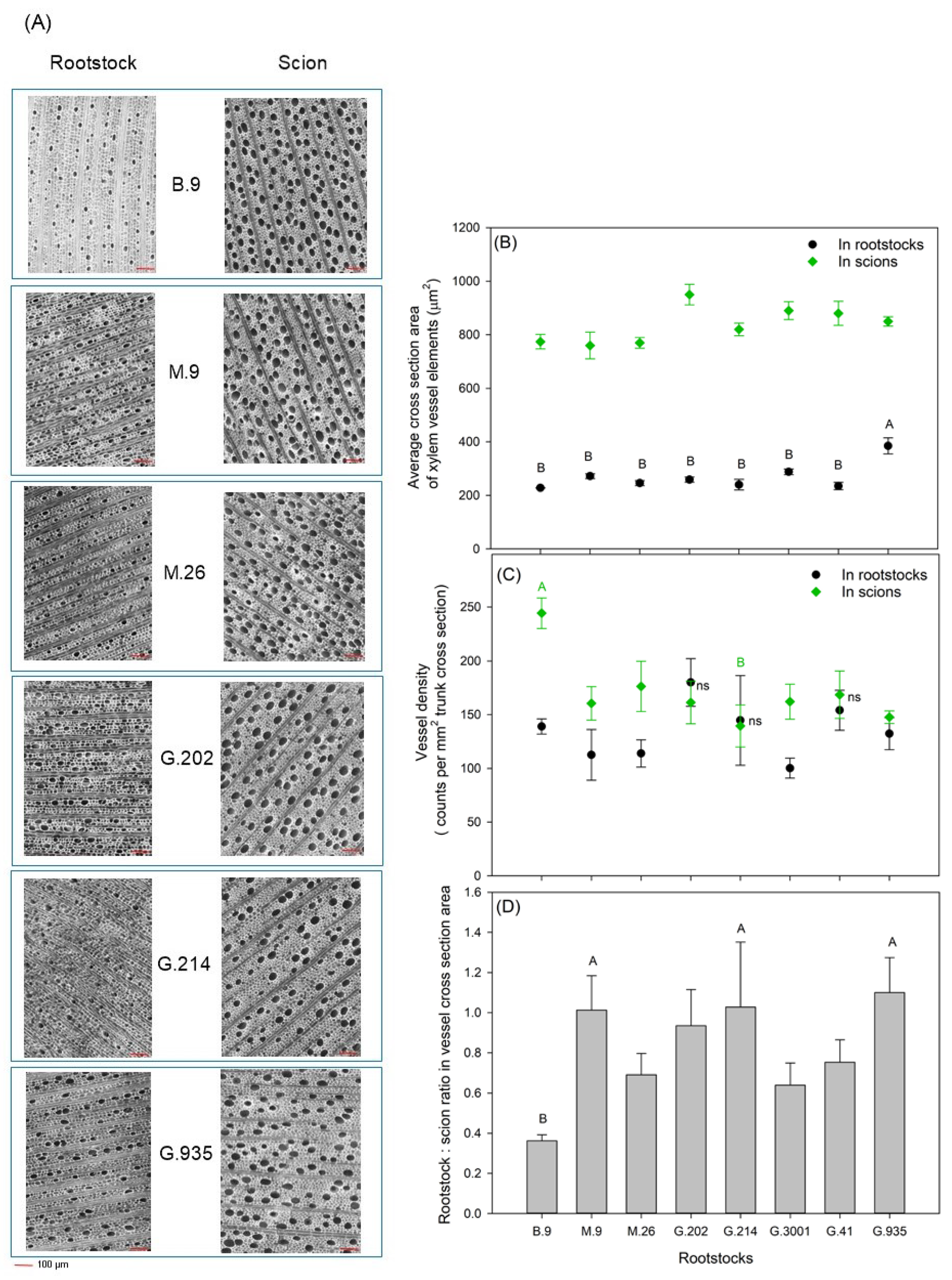 Horticulturae 07 00099 g006 Horticulturae 07 00099 g006