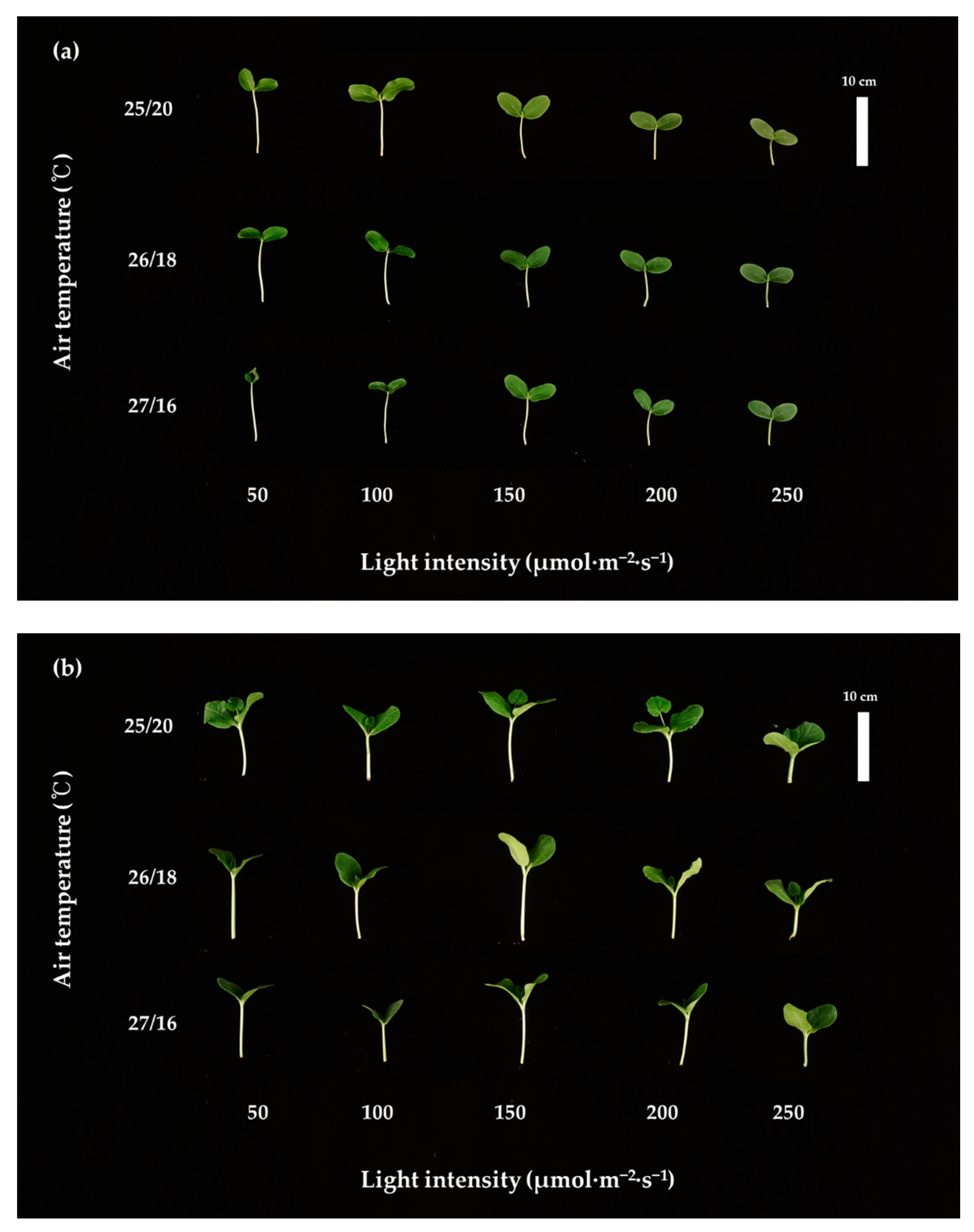 Horticulturae 07 00102 g004 Horticulturae 07 00102 g004