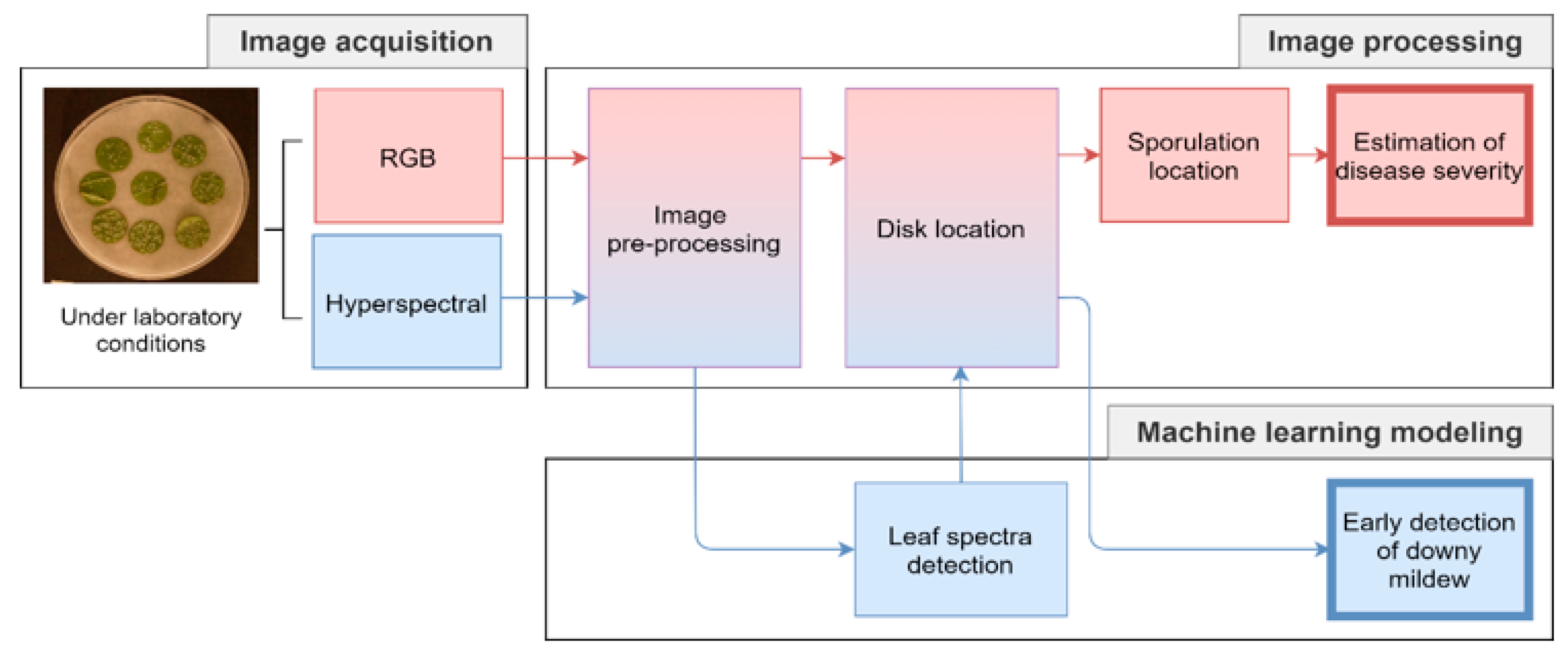 Horticulturae 07 00103 g001 Horticulturae 07 00103 g001