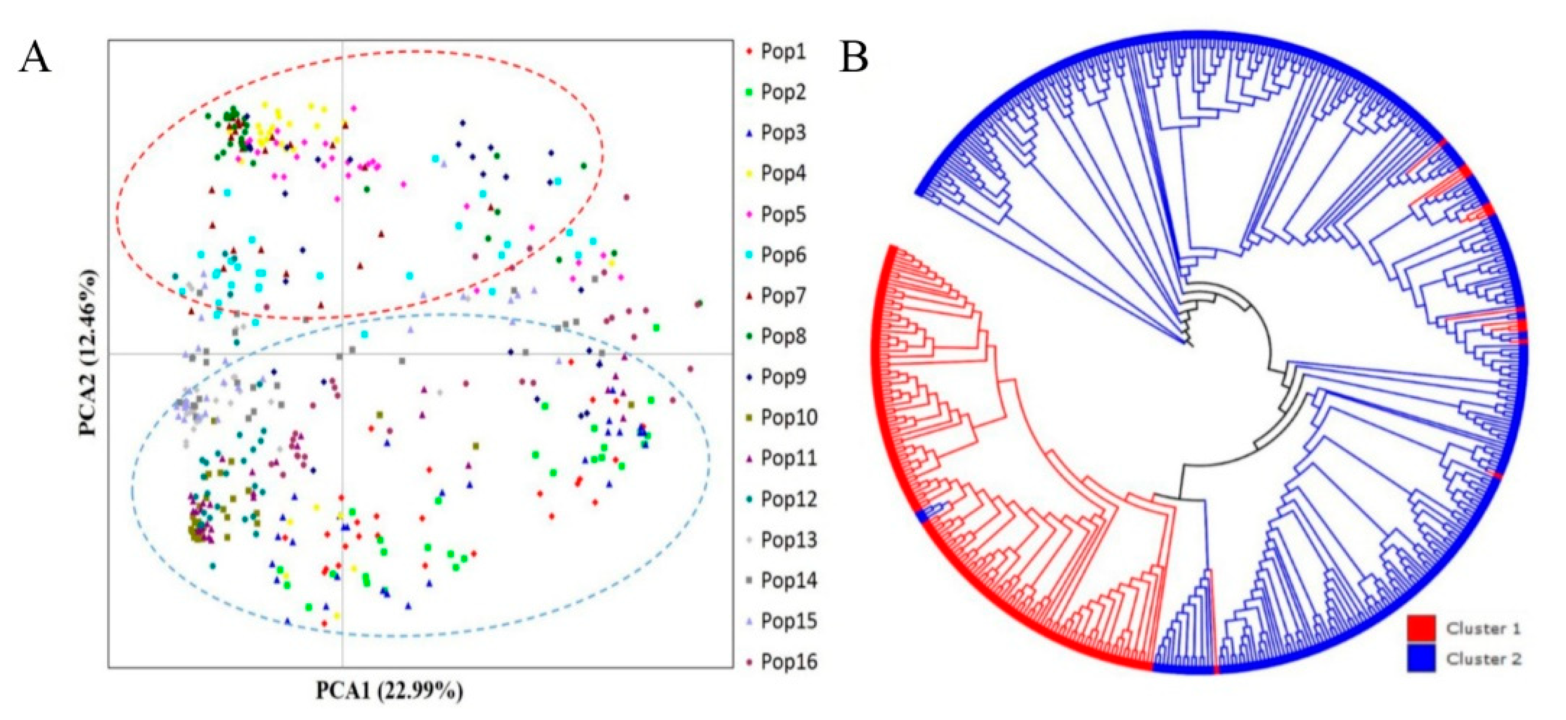 Horticulturae 07 00104 g003 Horticulturae 07 00104 g003