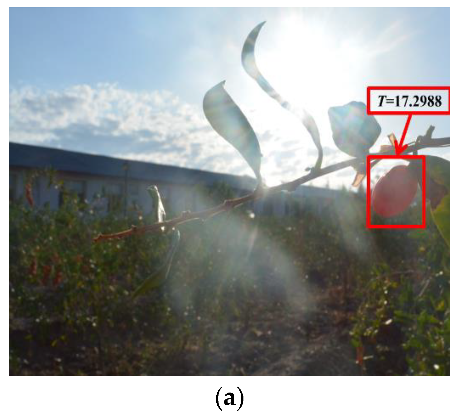 Horticulturae 07 00108 g003a 550