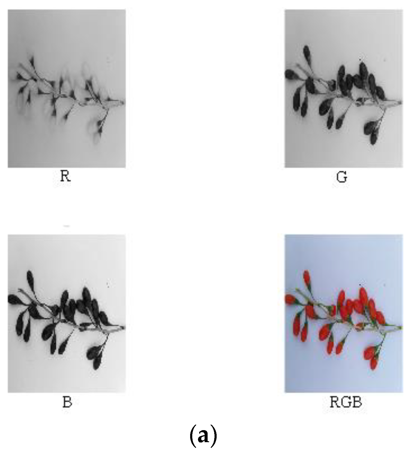 Horticulturae 07 00108 g004a 550