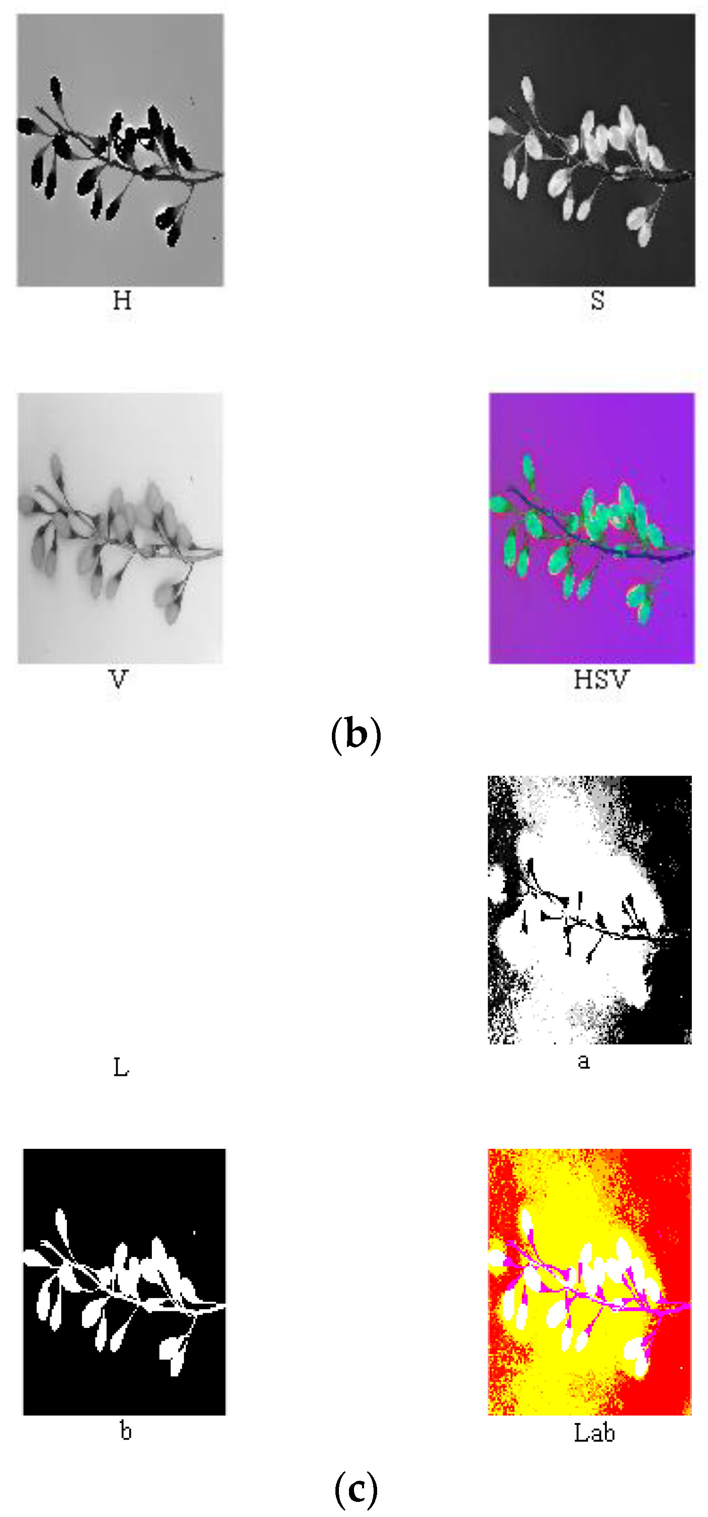 Horticulturae 07 00108 g004b 550