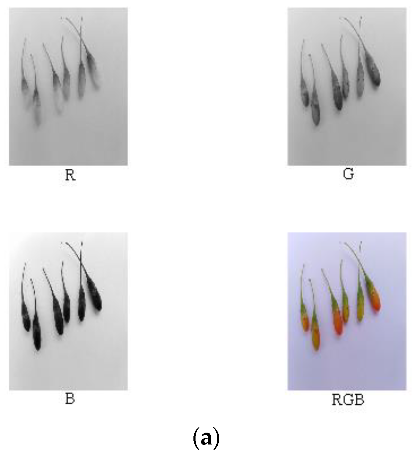 Horticulturae 07 00108 g005a 550