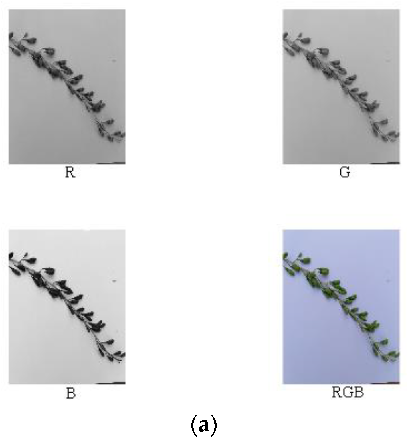 Horticulturae 07 00108 g006a 550