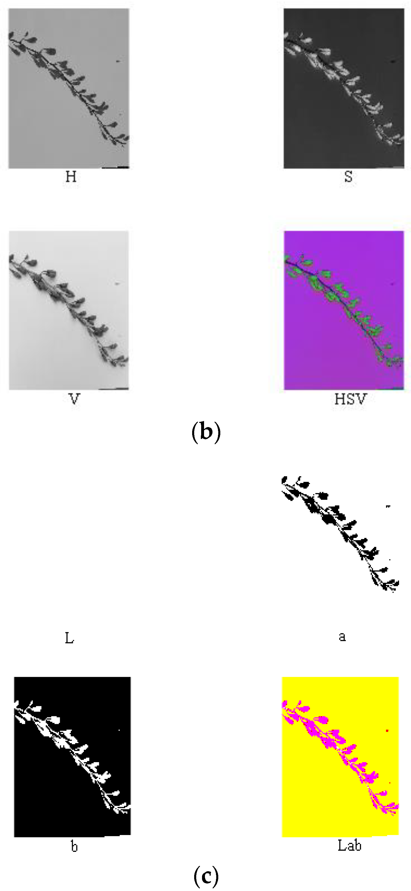 Horticulturae 07 00108 g006b 550