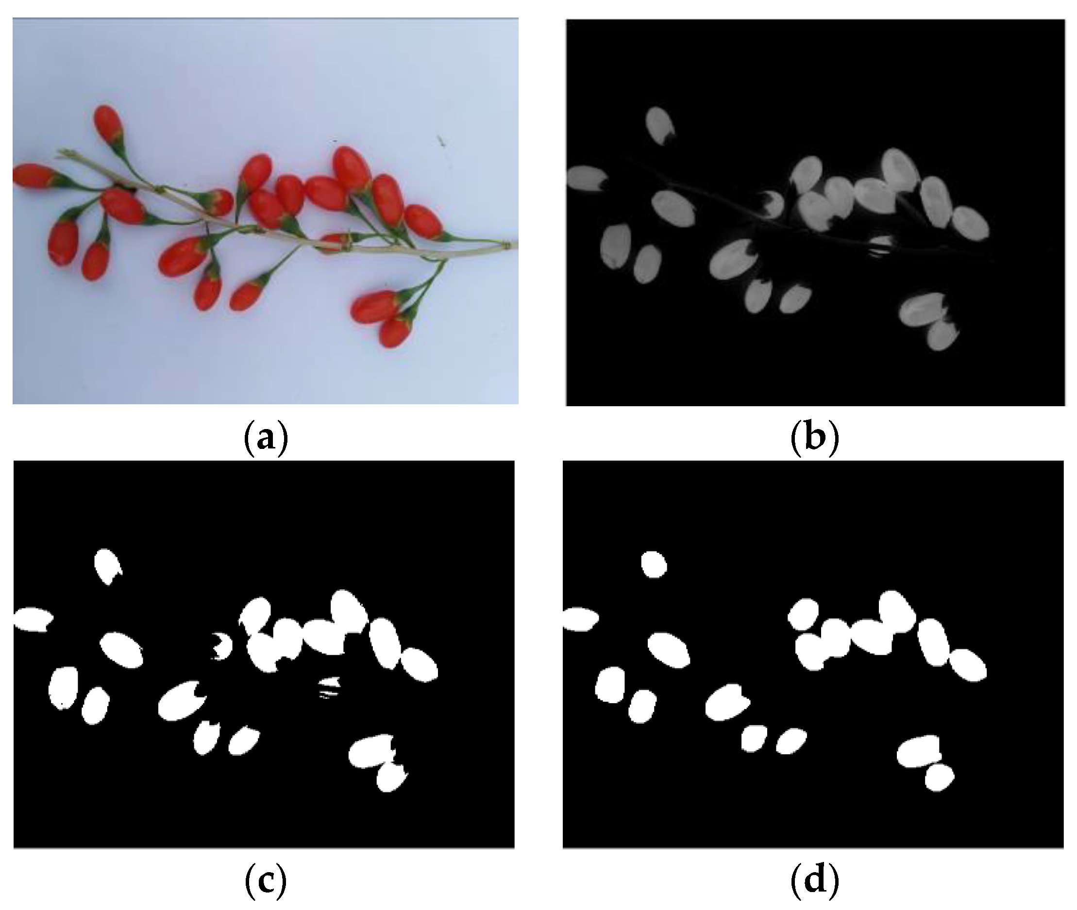 Horticulturae 07 00108 g009a 550