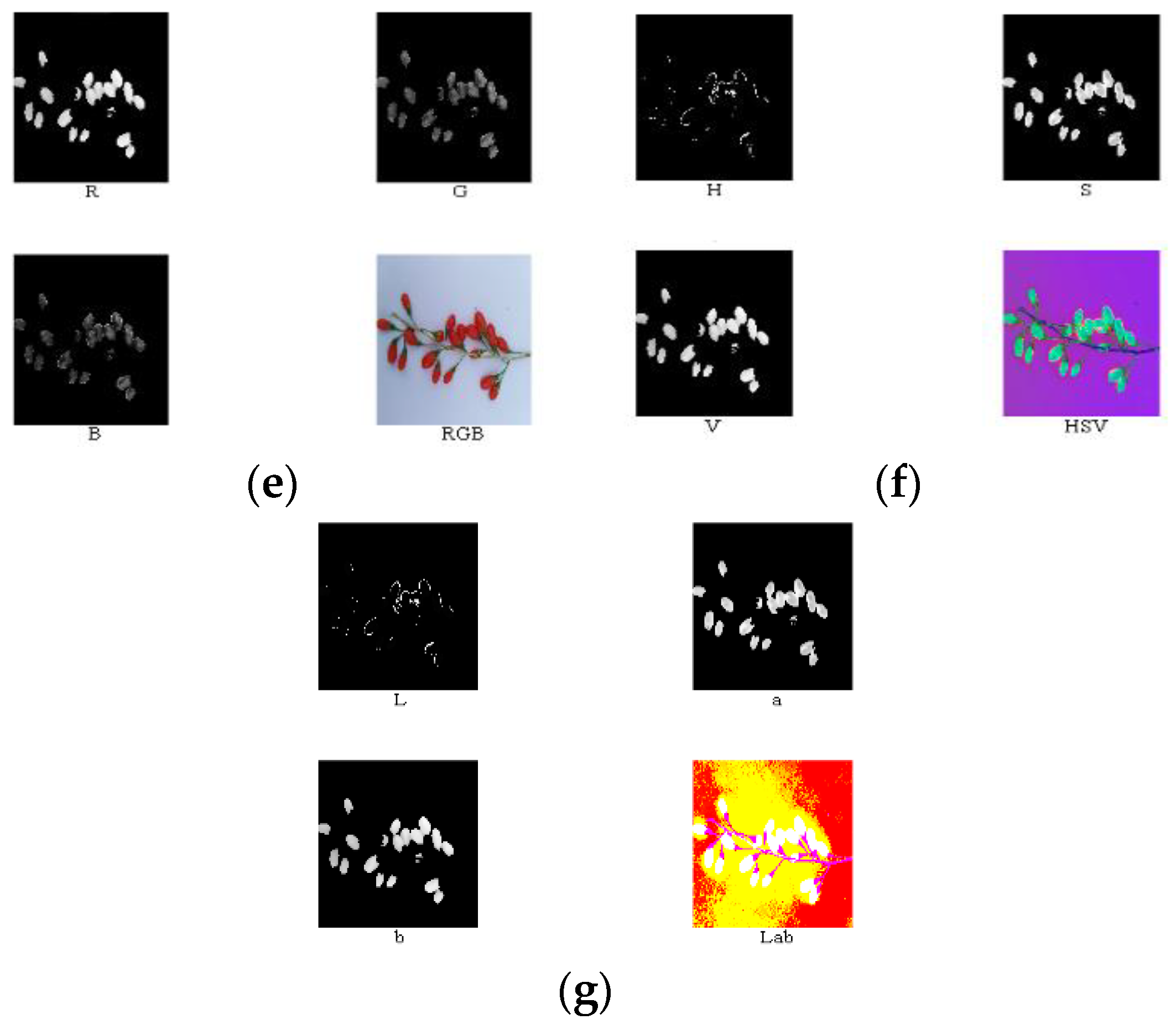 Horticulturae 07 00108 g009b 550