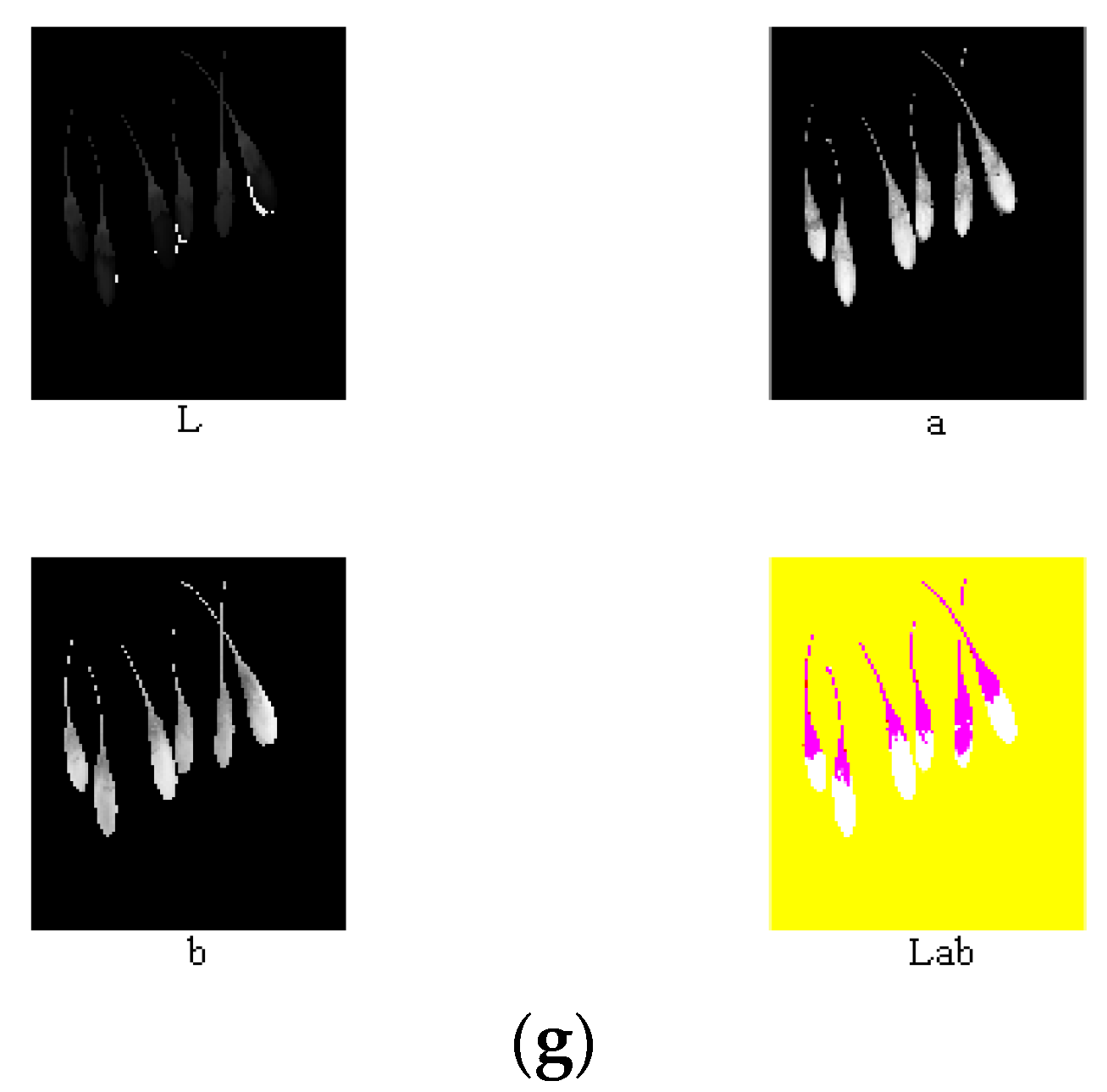 Horticulturae 07 00108 g010b 550