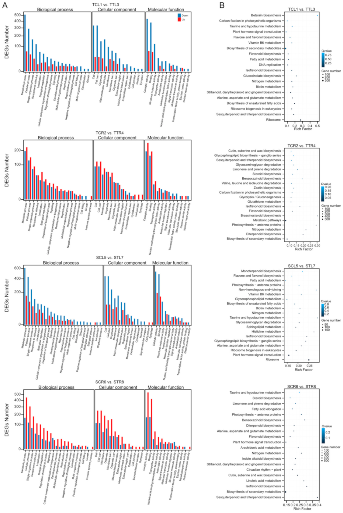Horticulturae 07 00110 g004 Horticulturae 07 00110 g004