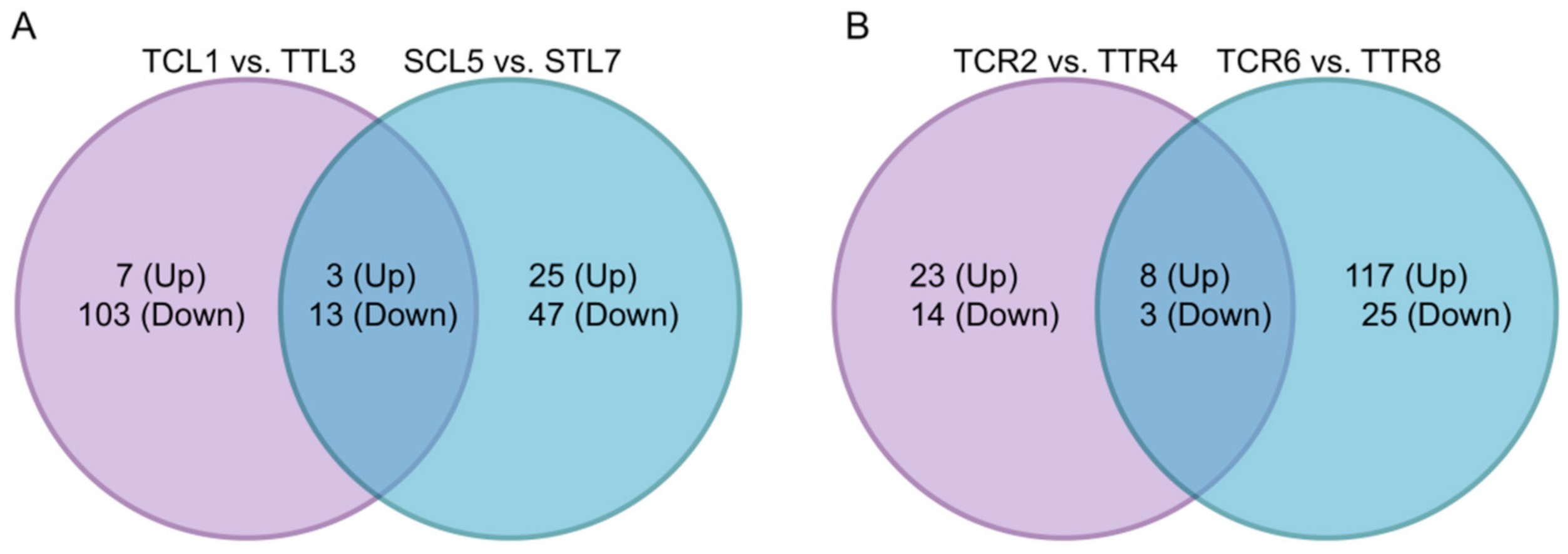 Horticulturae 07 00110 g006 Horticulturae 07 00110 g006