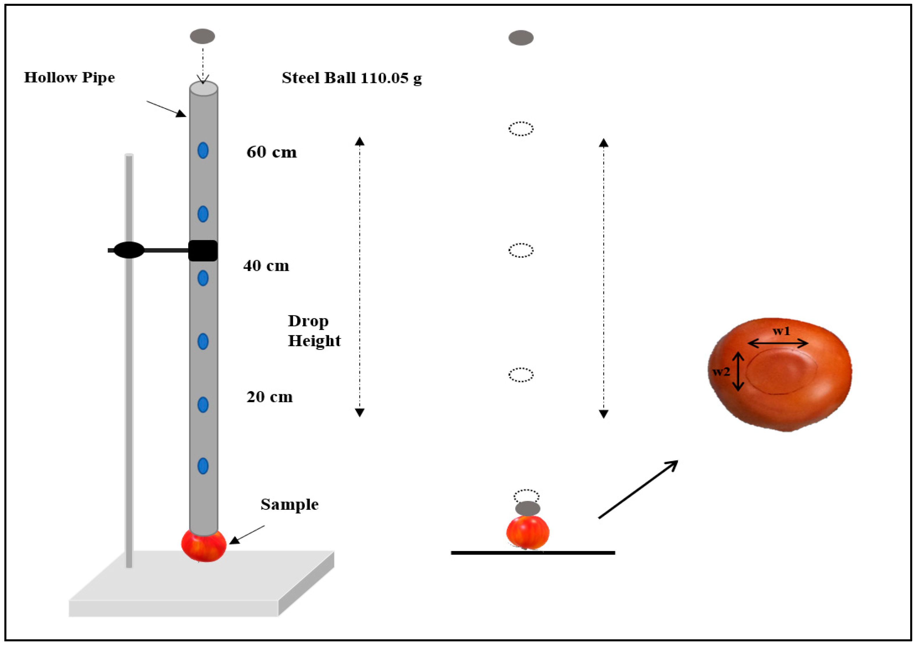 Horticulturae 07 00113 g001
