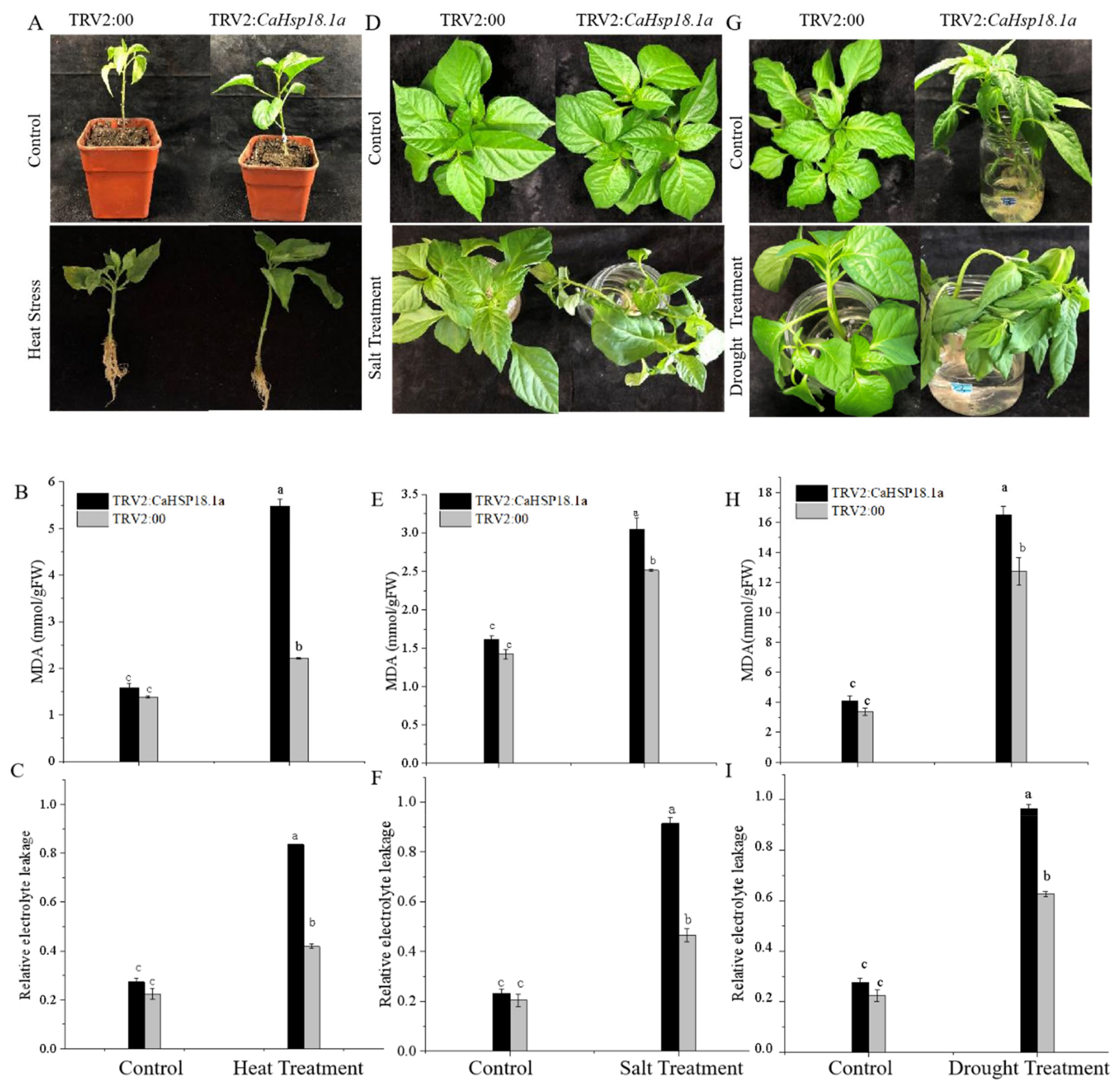 Horticulturae 07 00117 g003 Horticulturae 07 00117 g003