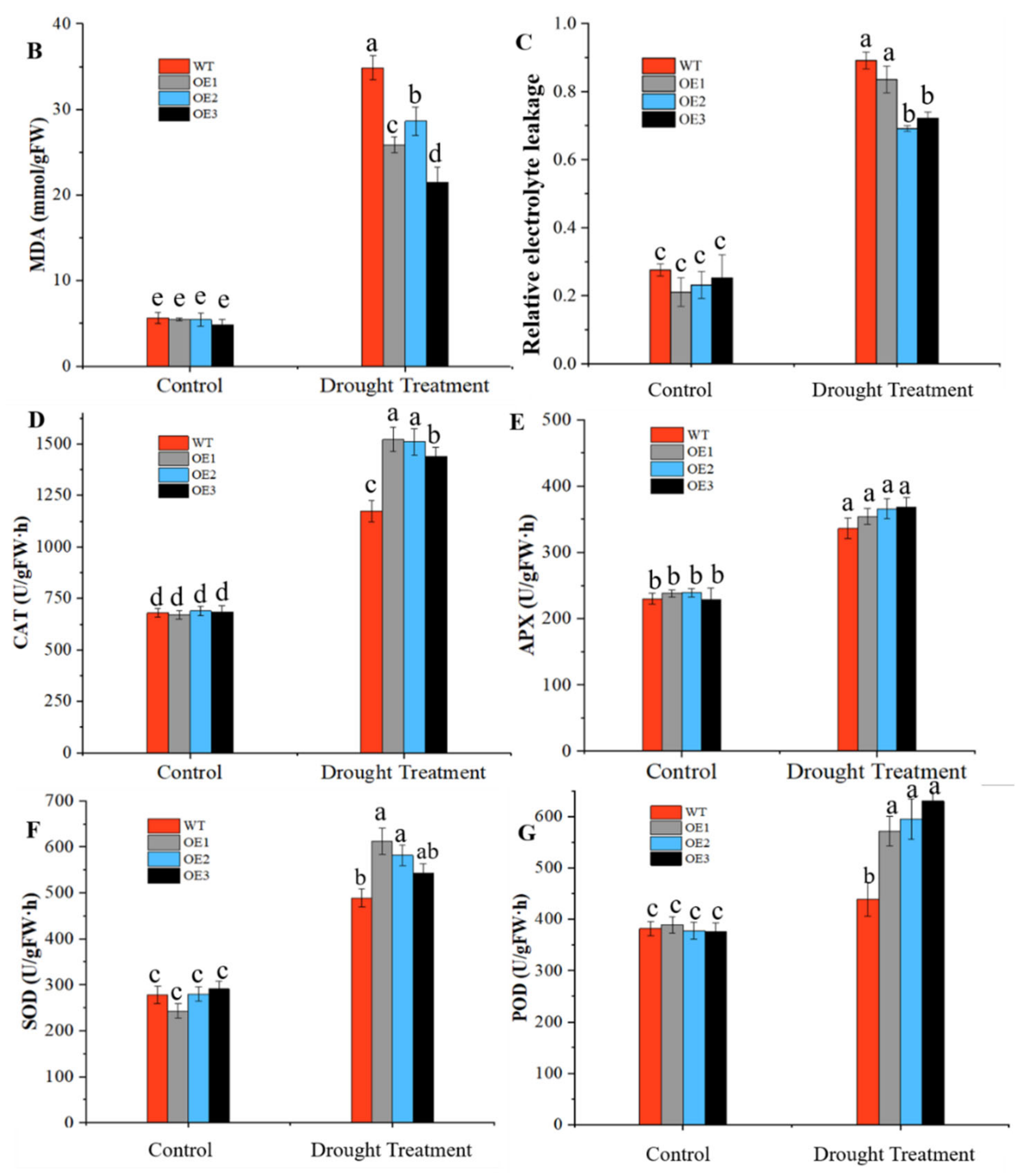 Horticulturae 07 00117 g006b Horticulturae 07 00117 g006b