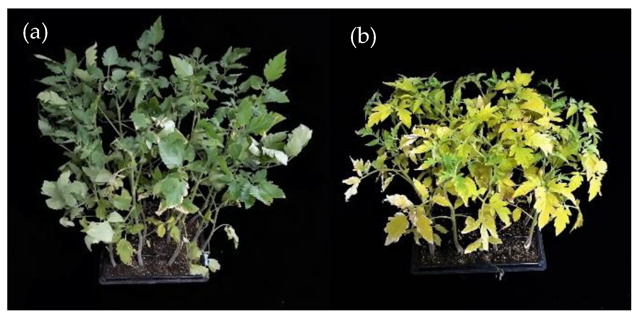 Horticulturae 07 00119 g002 Horticulturae 07 00119 g002