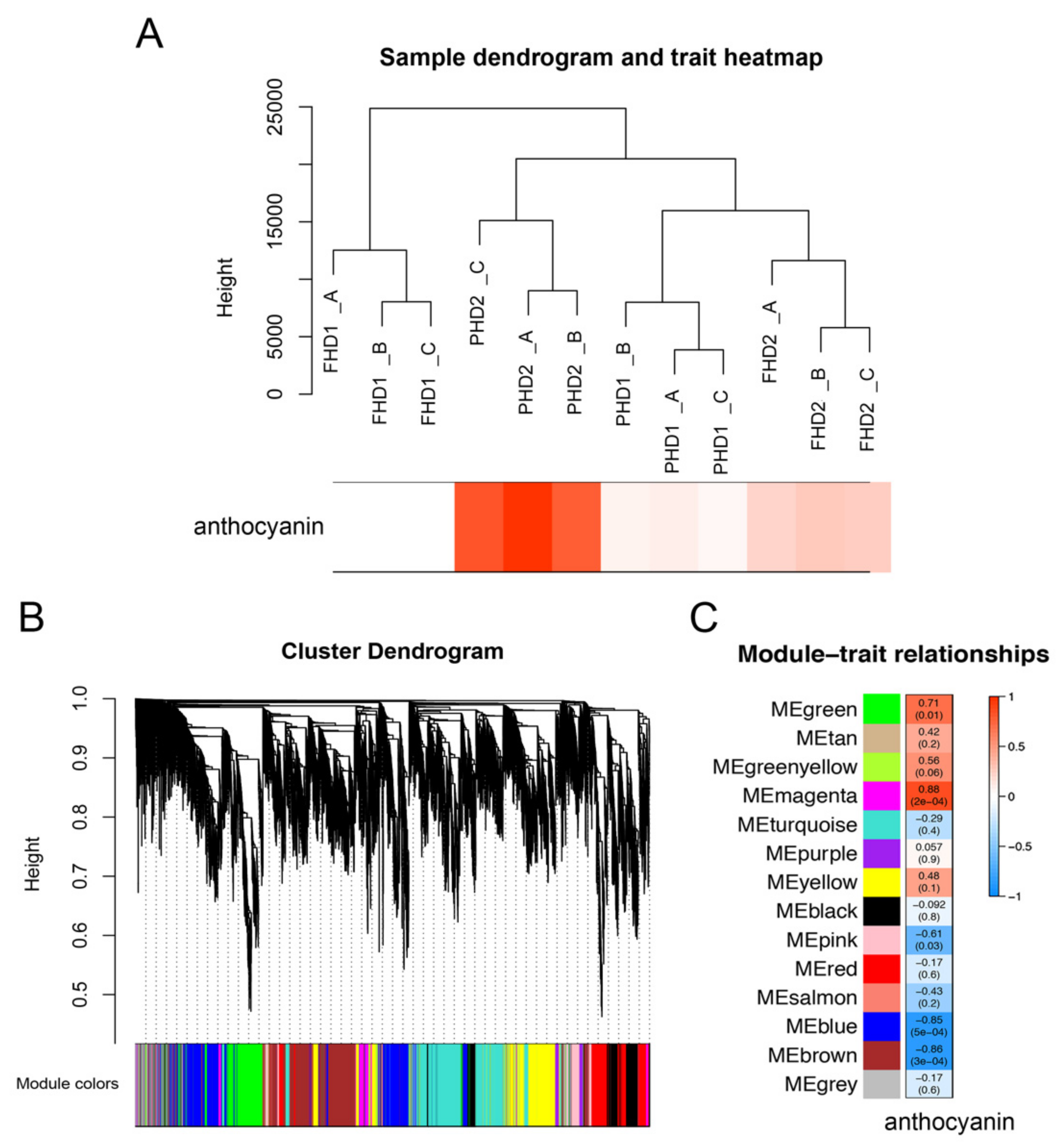 Horticulturae 07 00123 g003