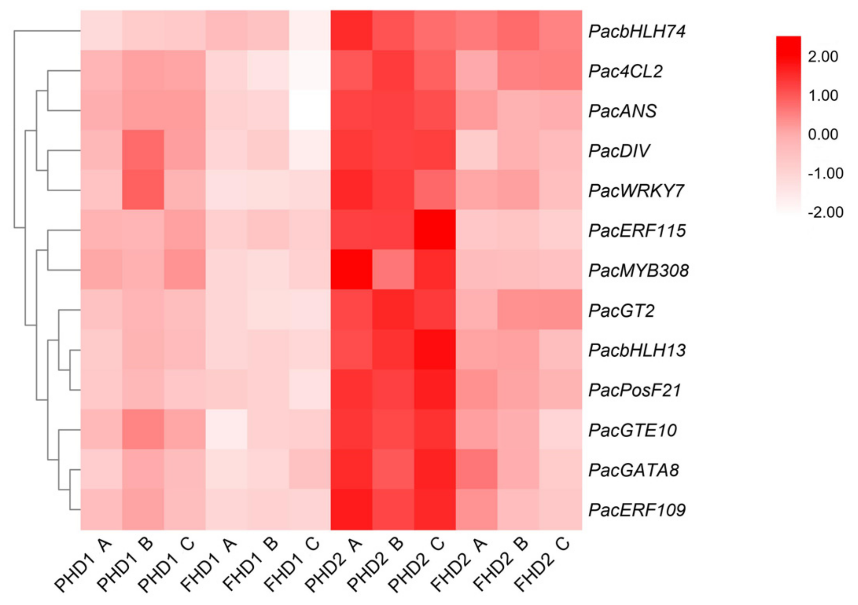 Horticulturae 07 00123 g004