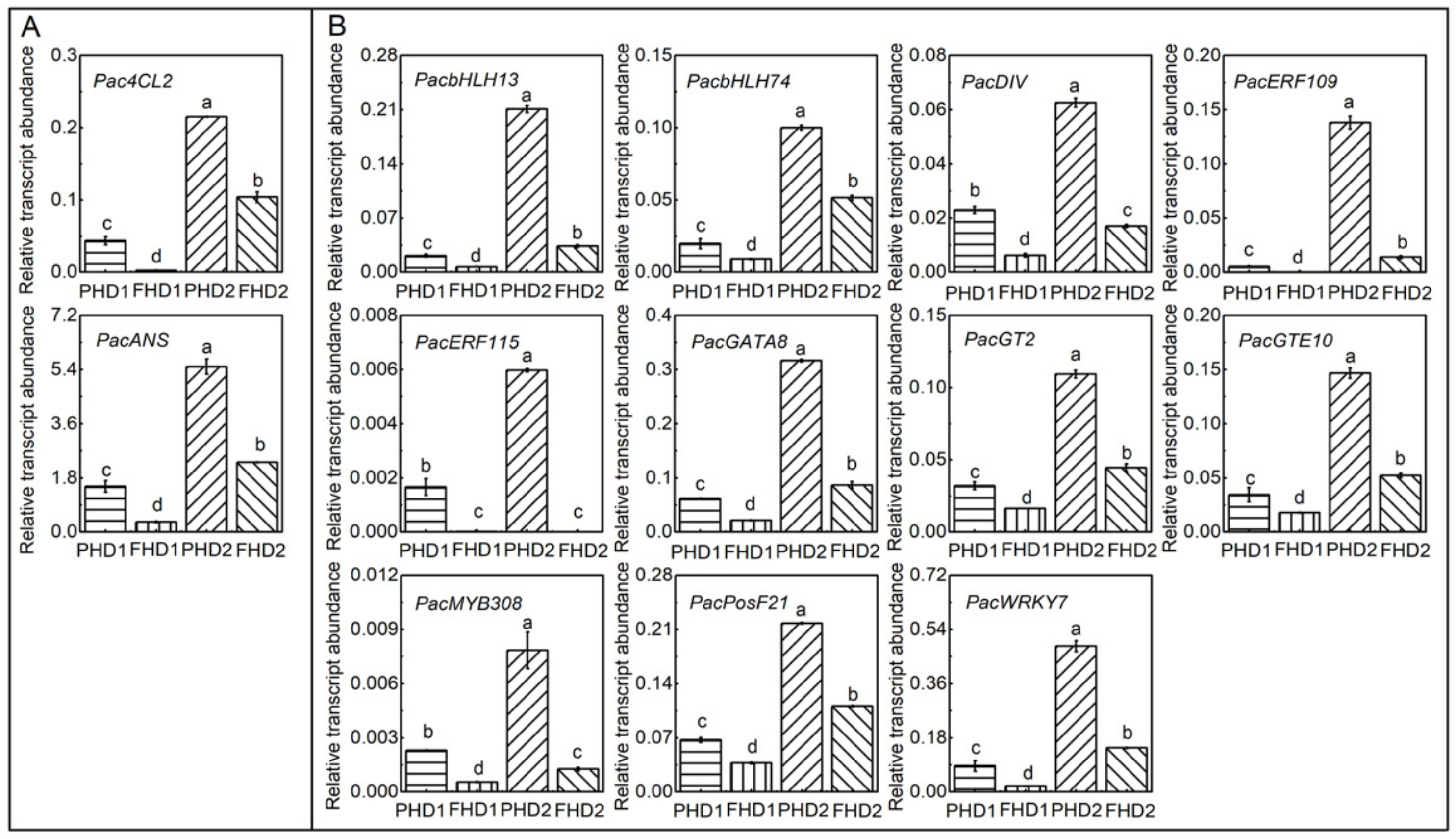Horticulturae 07 00123 g005