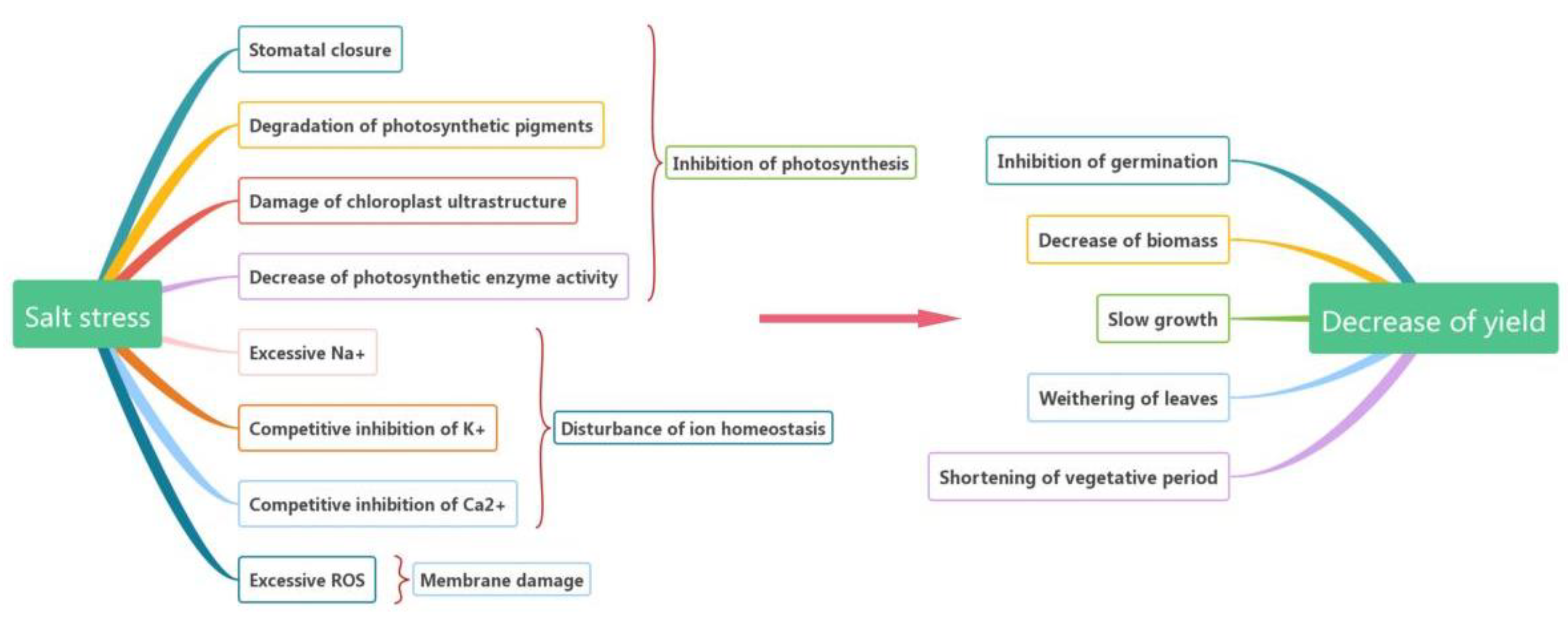 Horticulturae 07 00132 g002