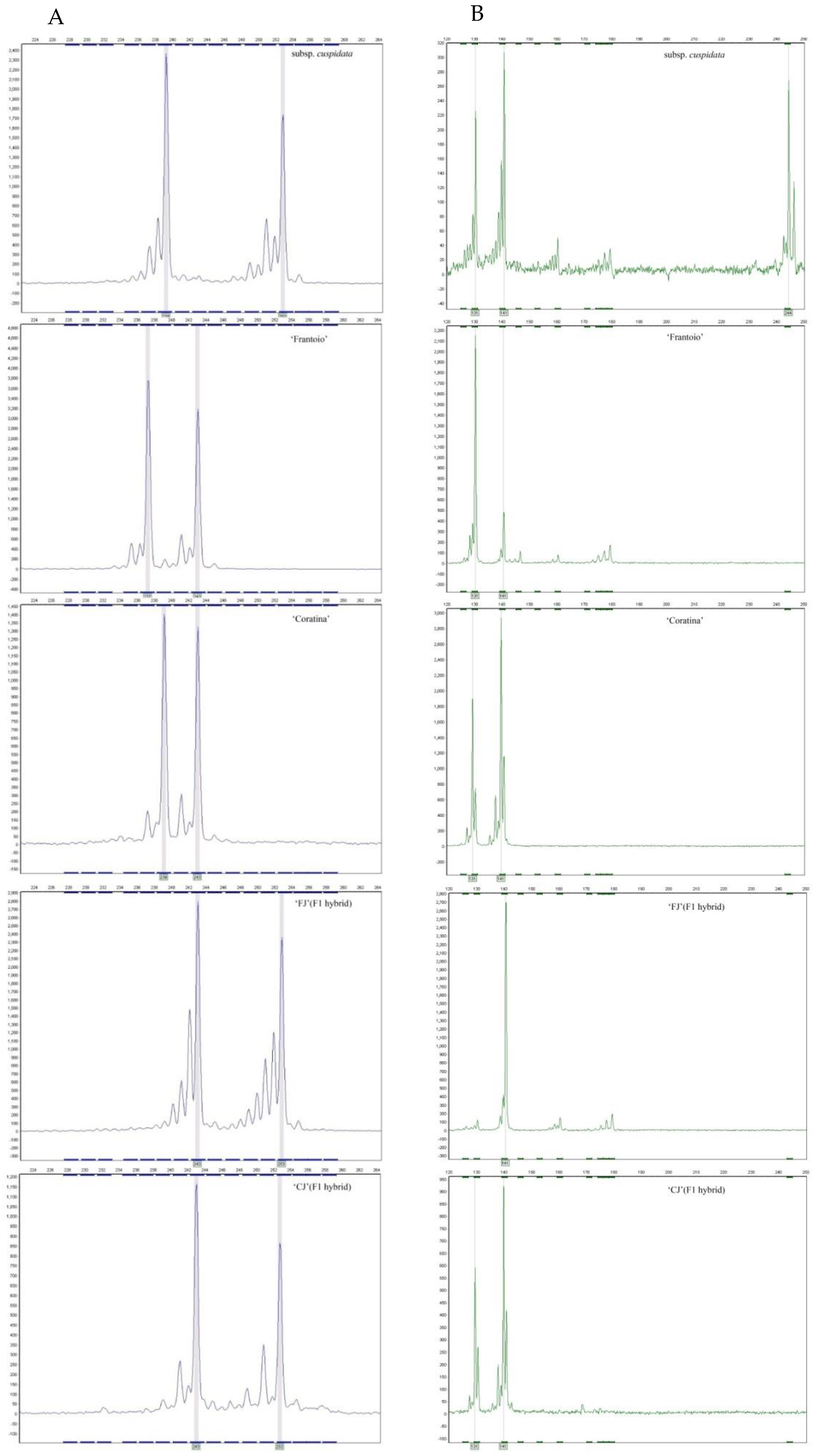 Horticulturae 07 00138 g002 Horticulturae 07 00138 g002