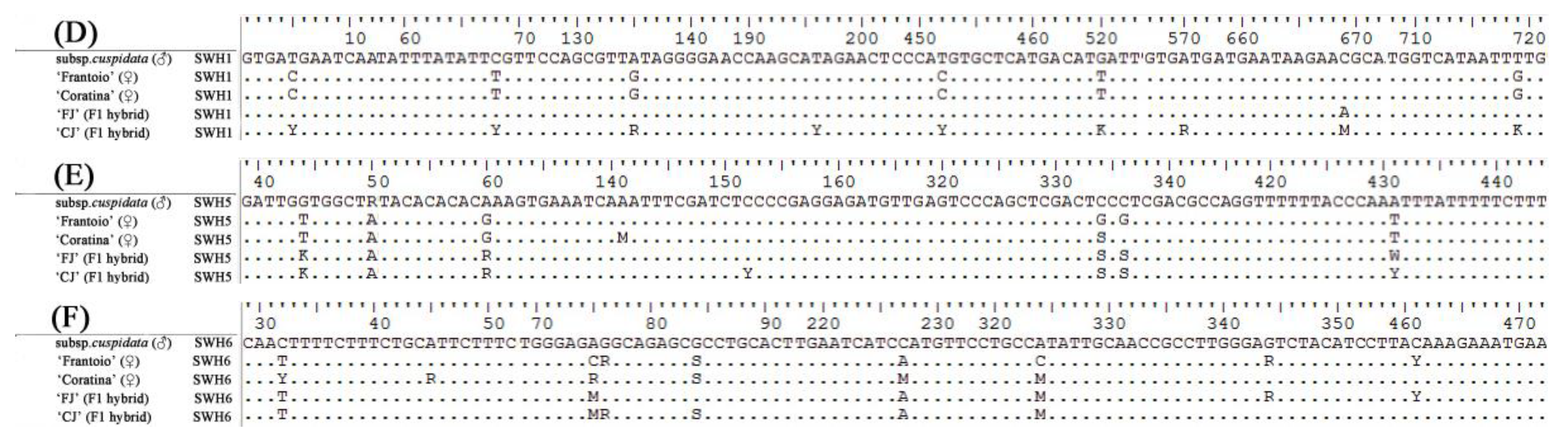 Horticulturae 07 00138 g003 Horticulturae 07 00138 g003