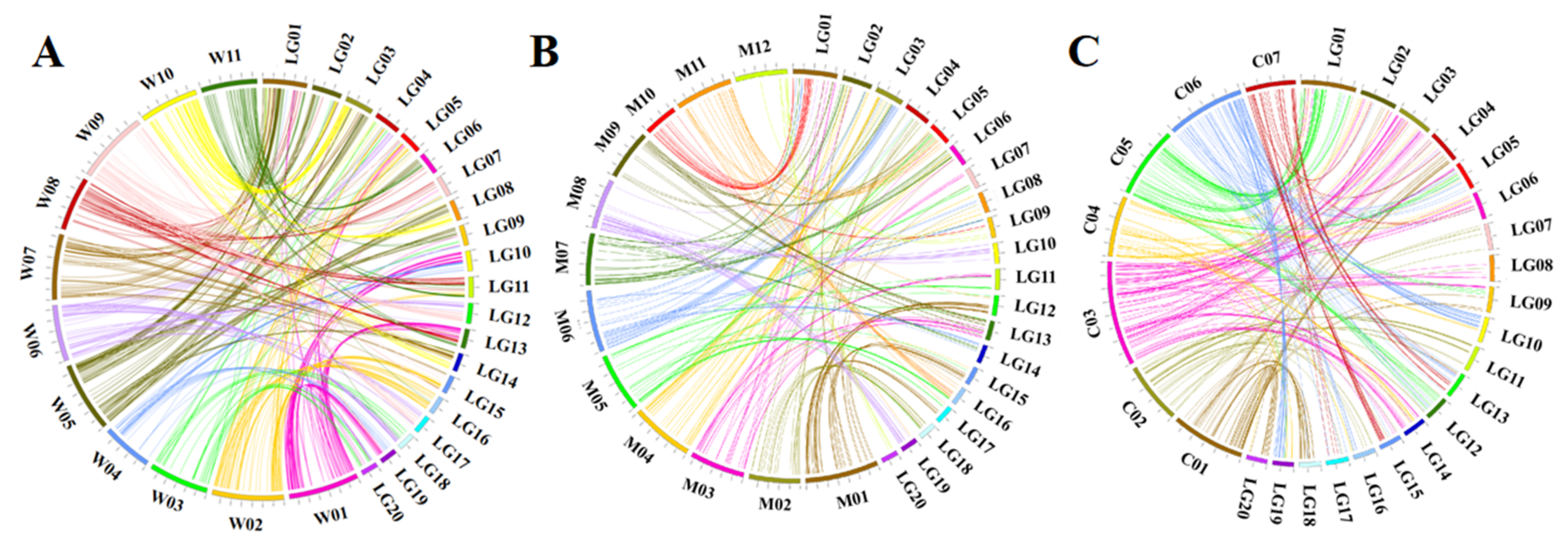 Horticulturae 07 00143 g003