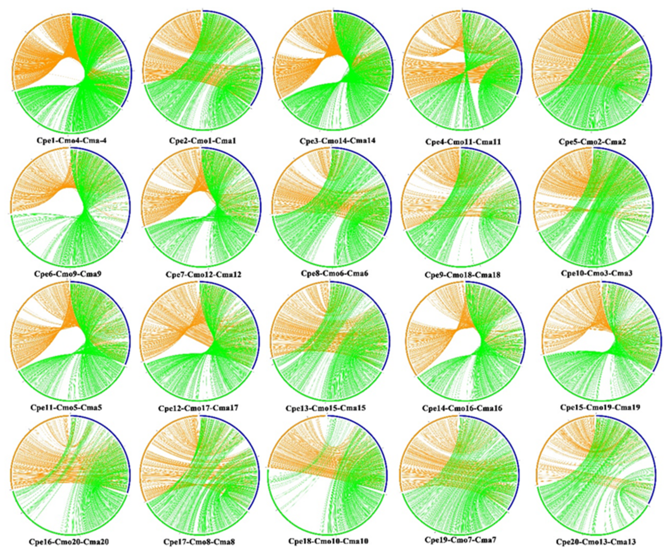 Horticulturae 07 00143 g004