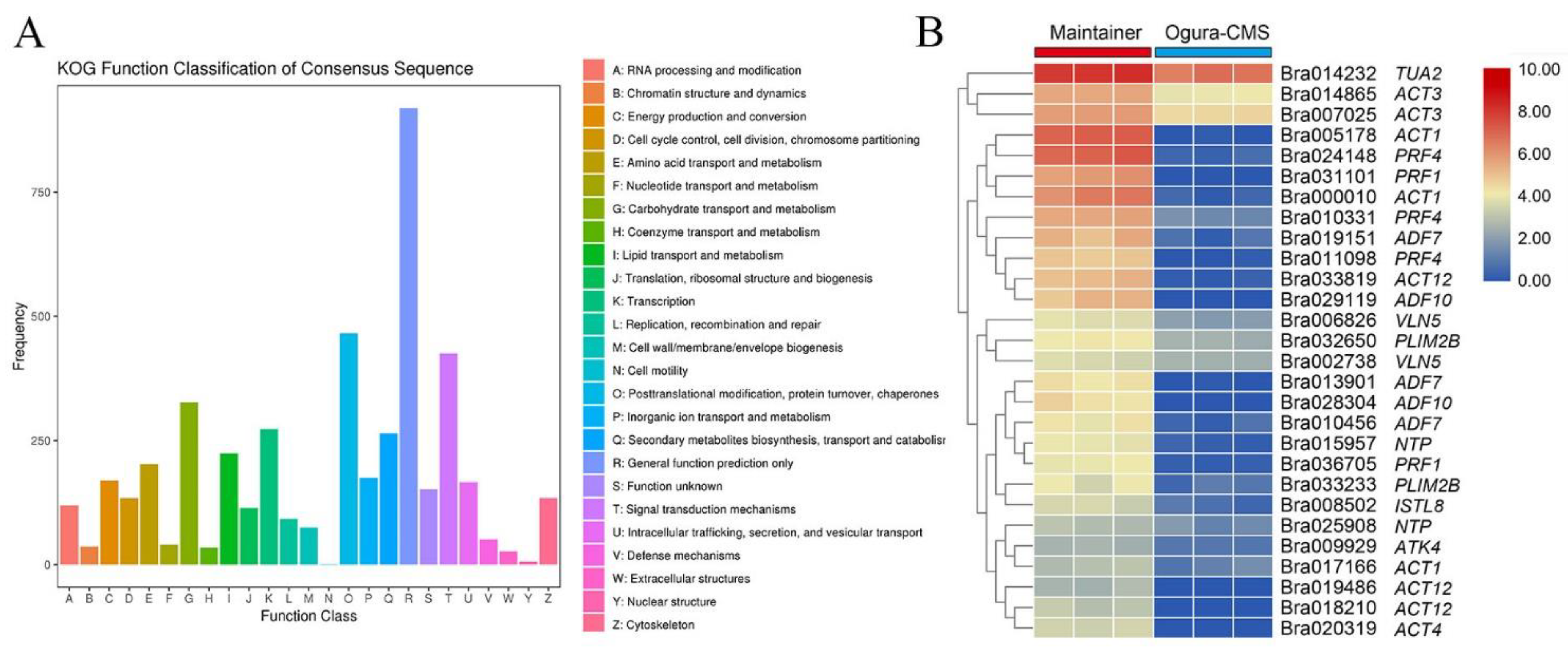 Horticulturae 07 00157 g004 550