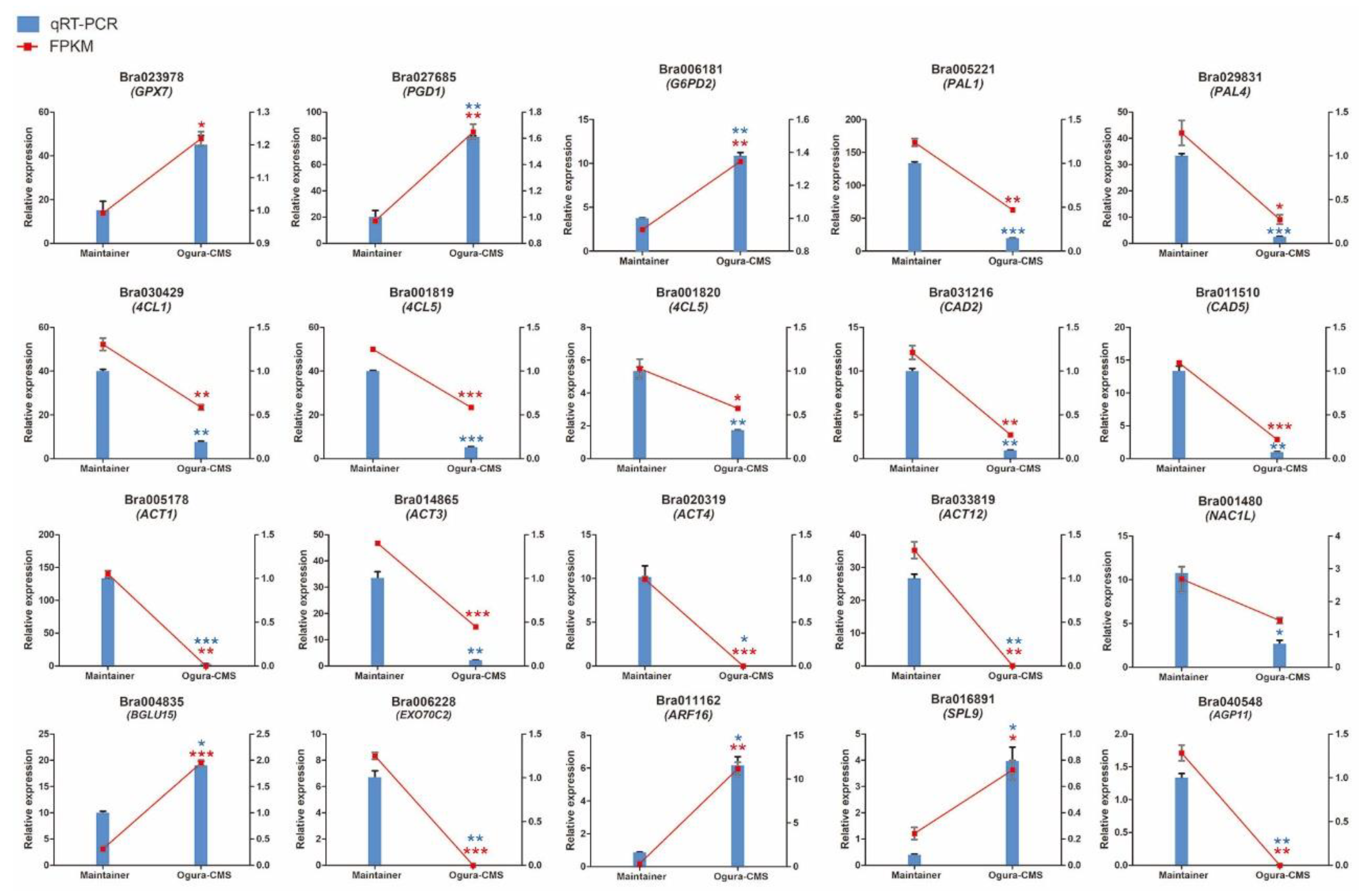 Horticulturae 07 00157 g007 550