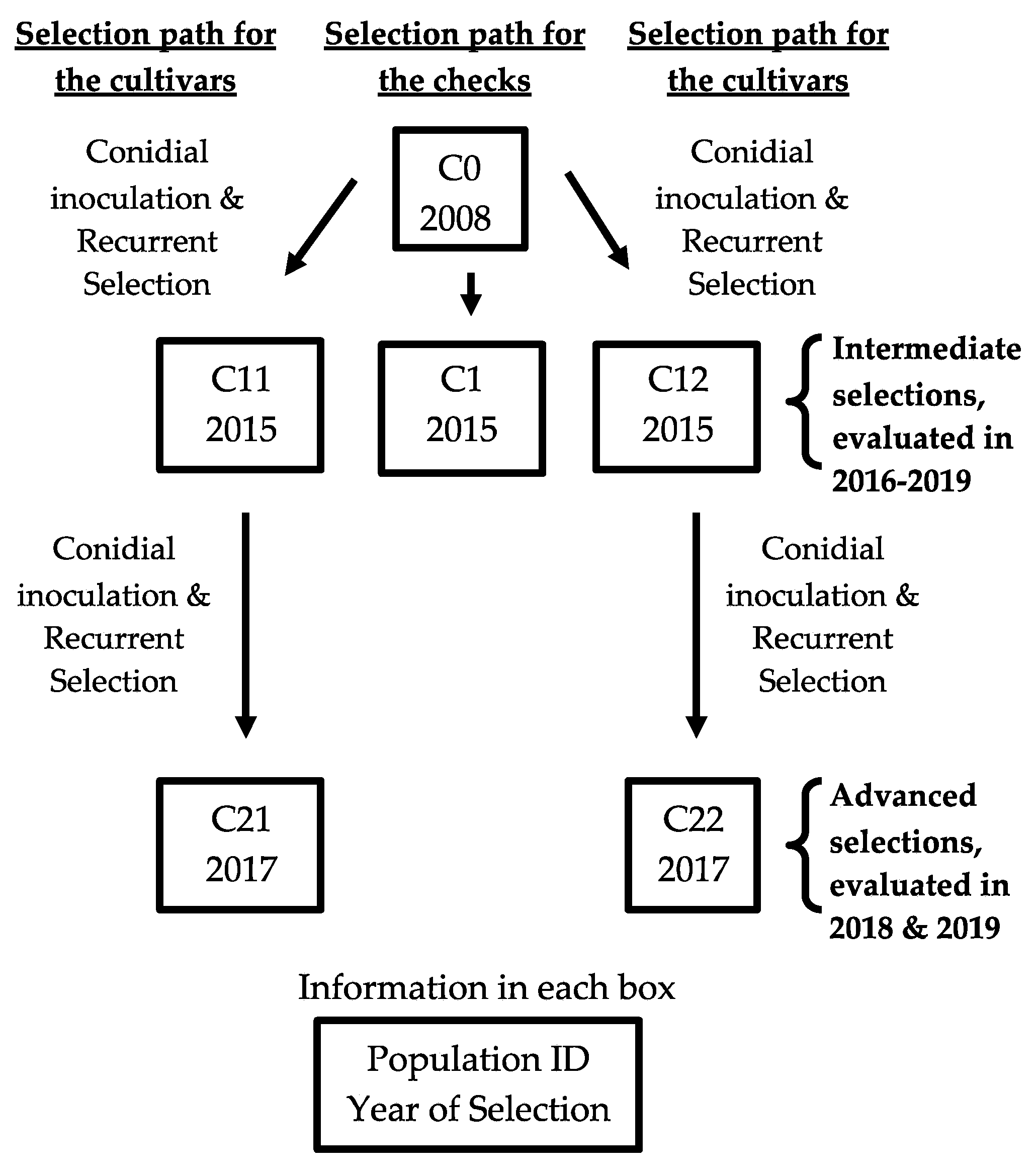Horticulturae 07 00168 g001