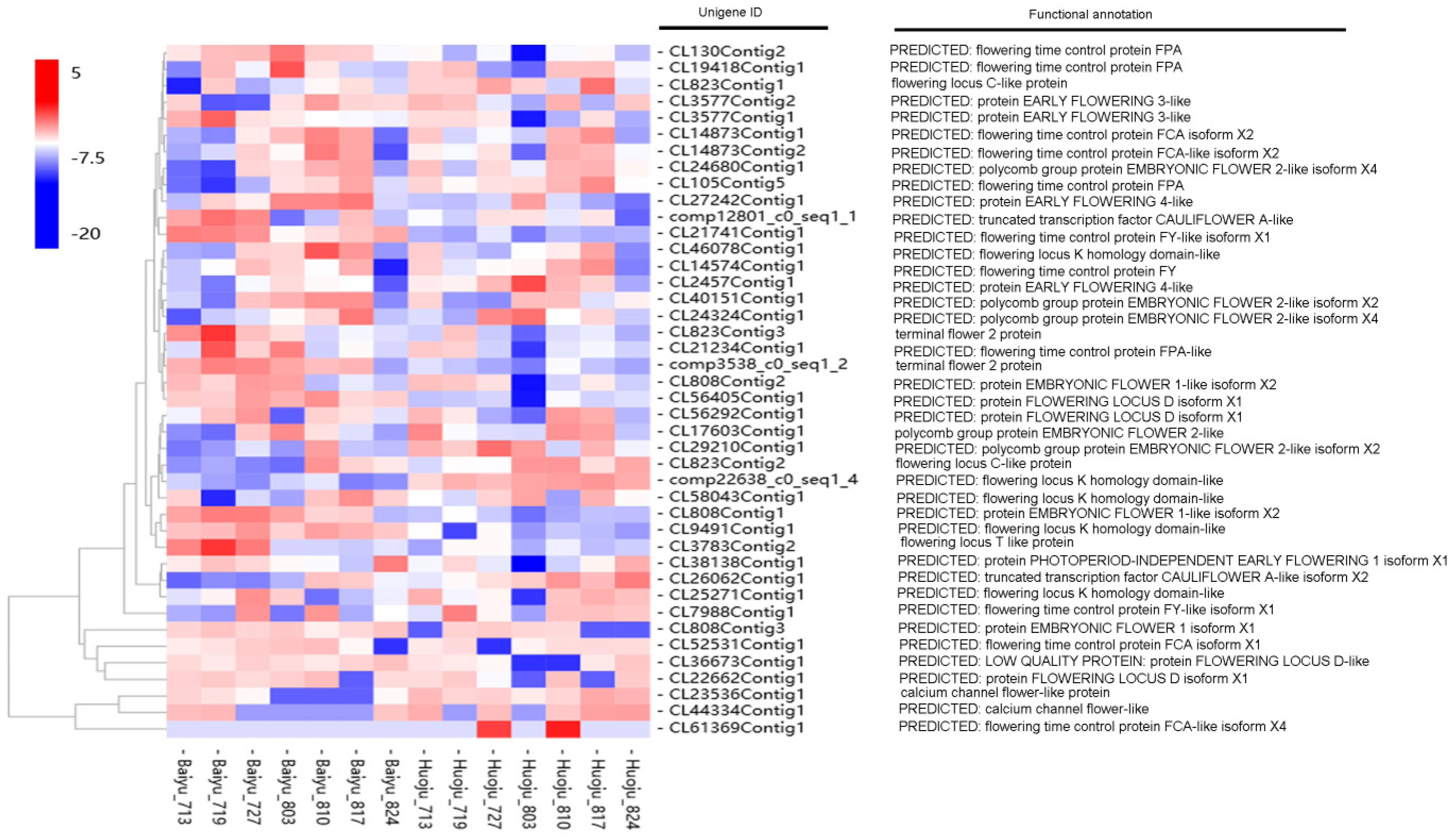 Horticulturae 07 00171 g004