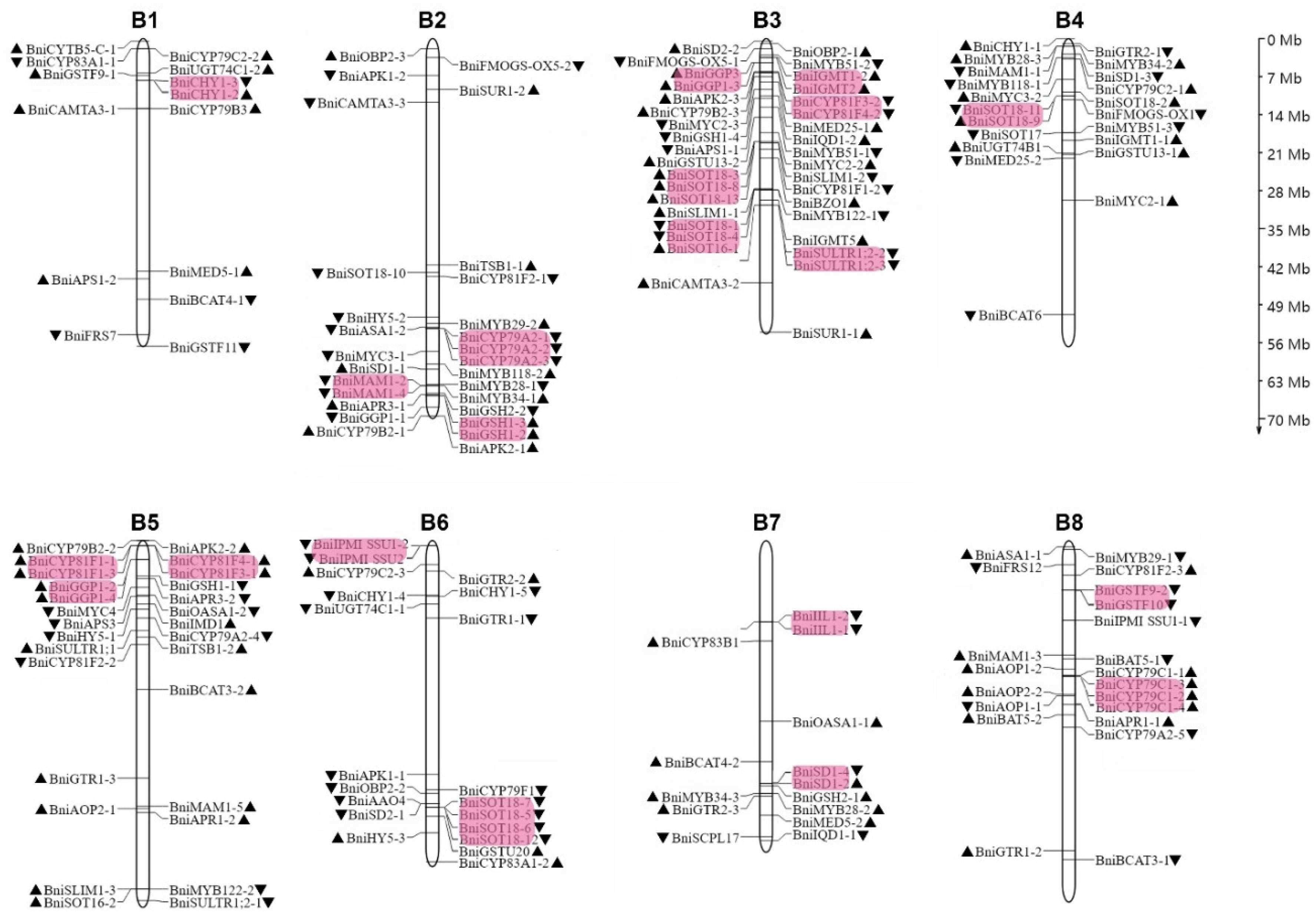 Horticulturae 07 00173 g001 550