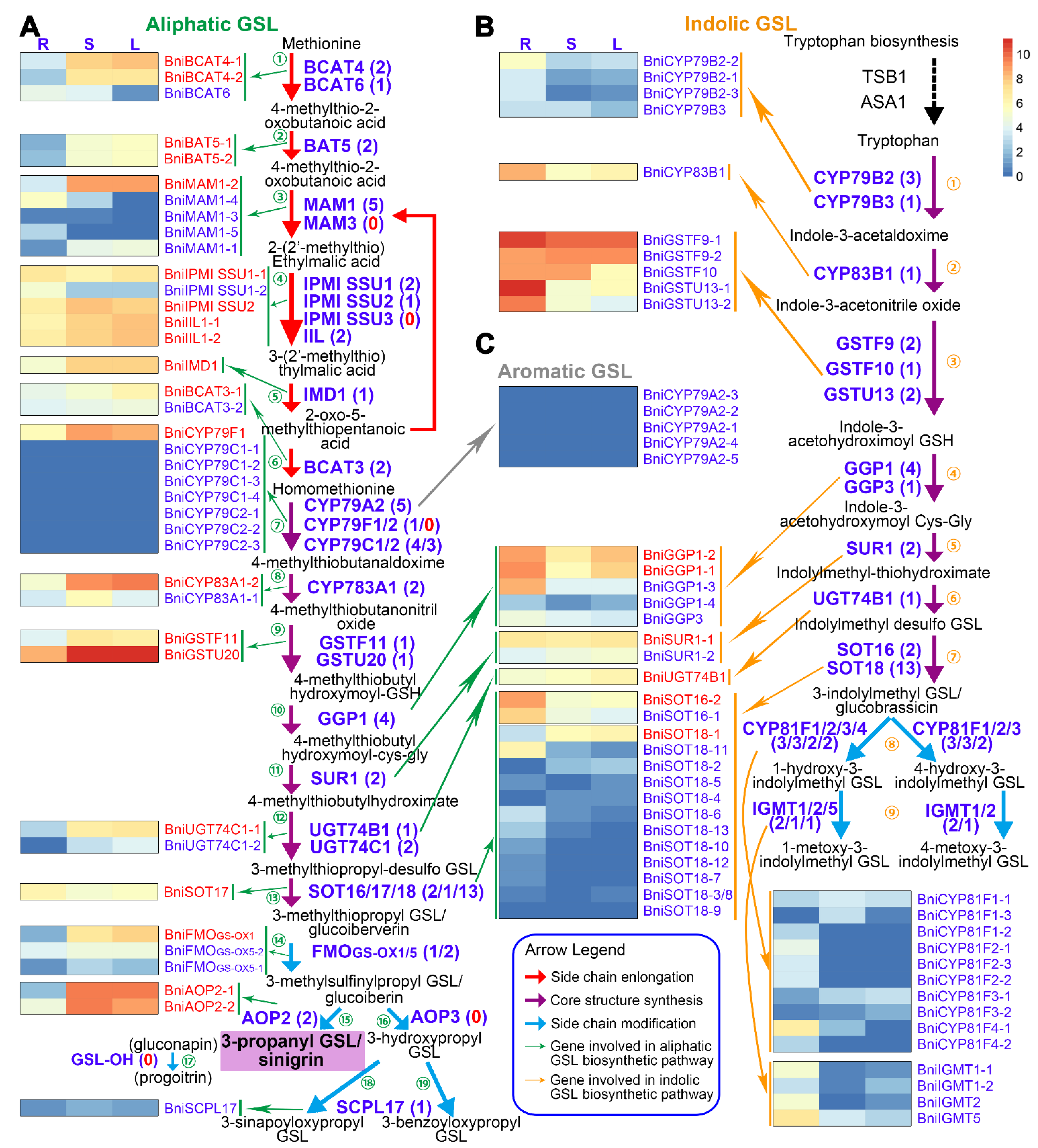 Horticulturae 07 00173 g002 550