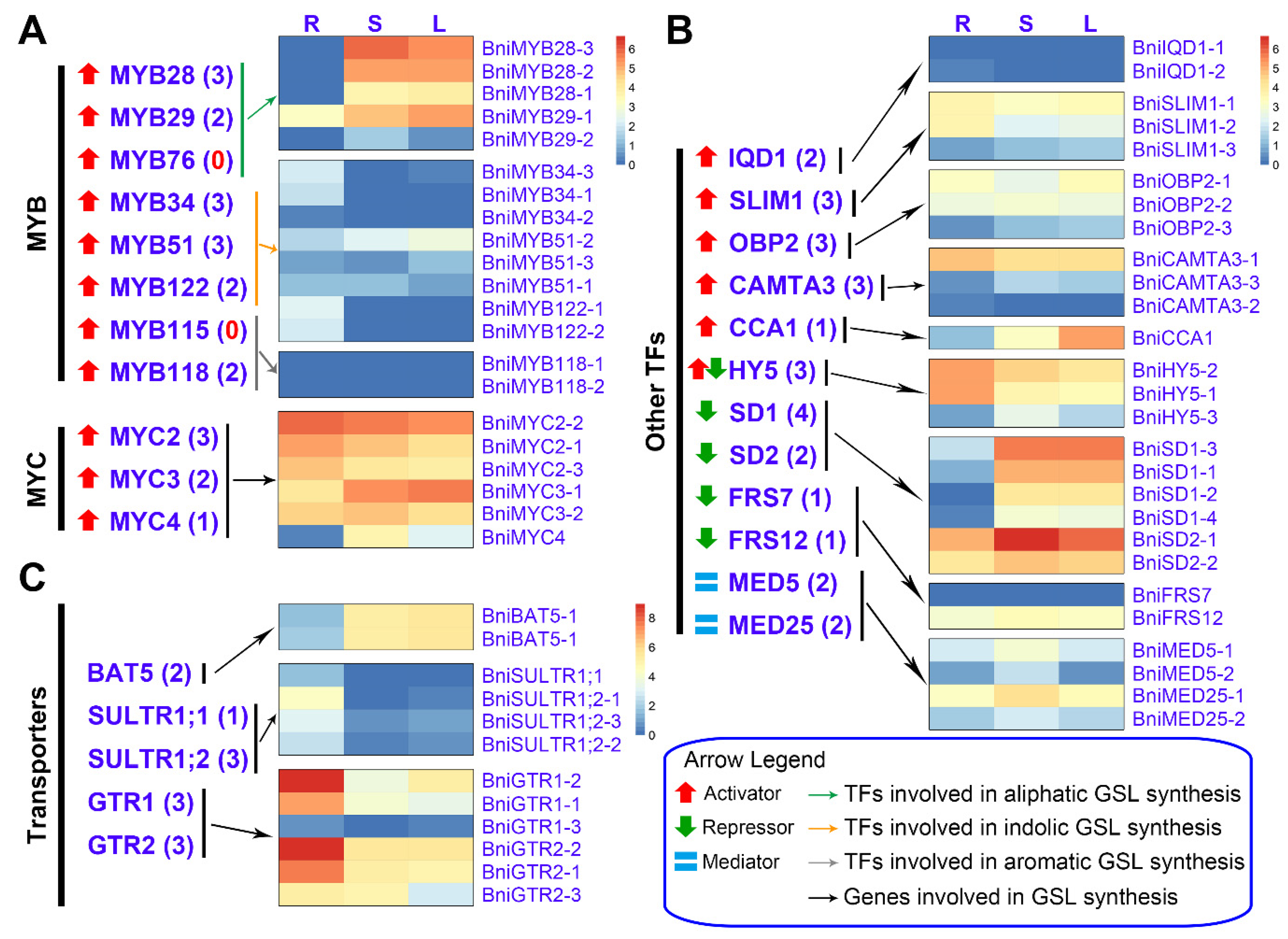 Horticulturae 07 00173 g003 550