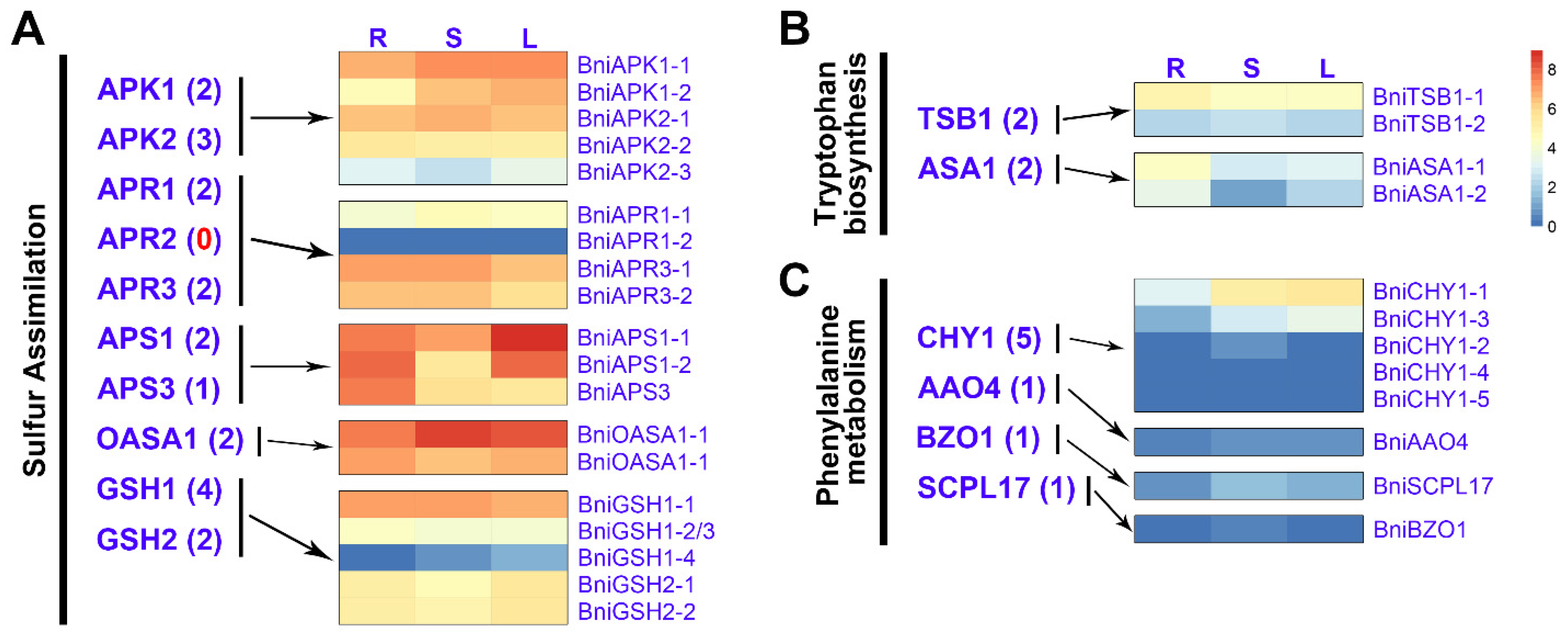Horticulturae 07 00173 g004 550