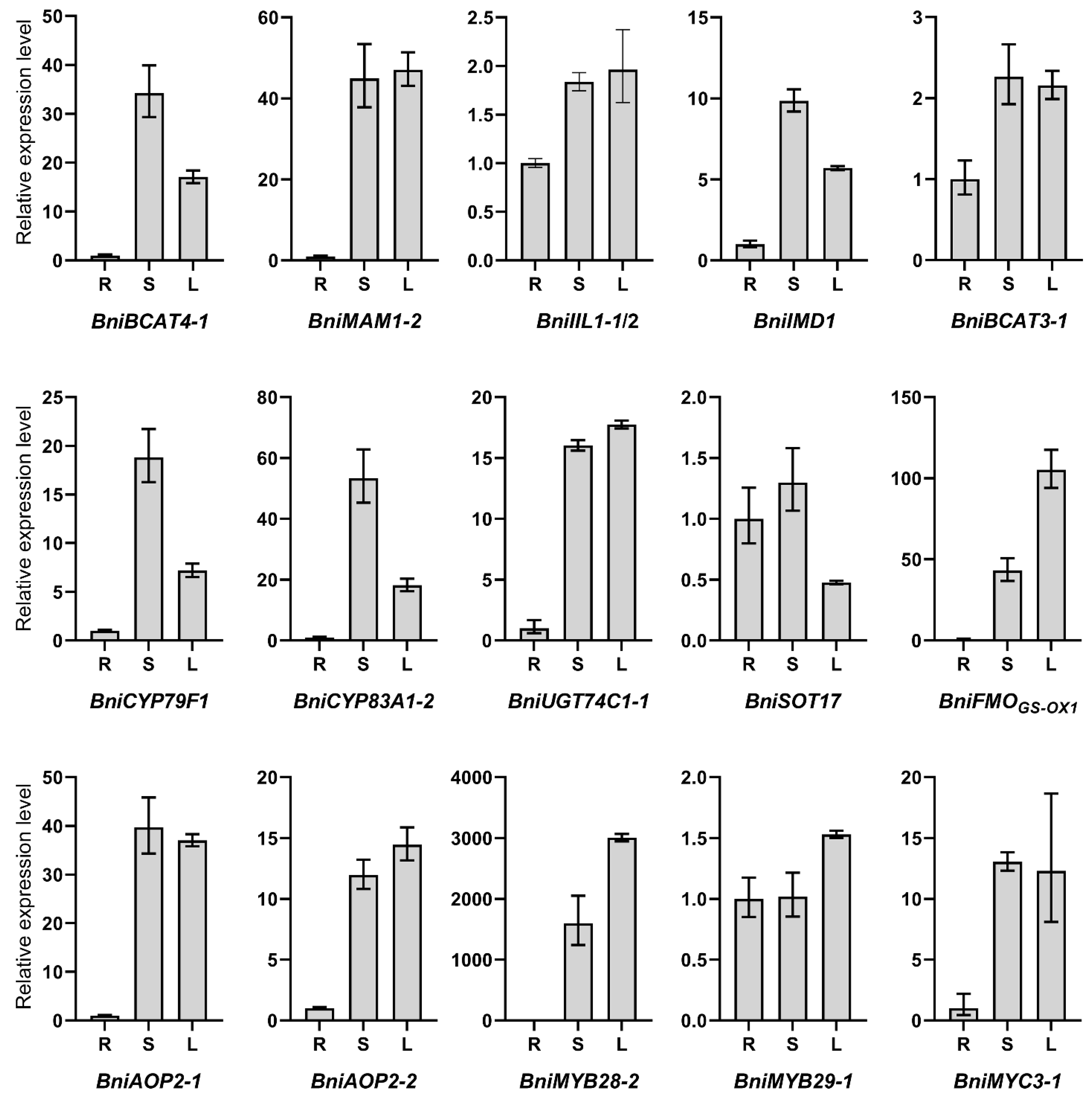 Horticulturae 07 00173 g005 550