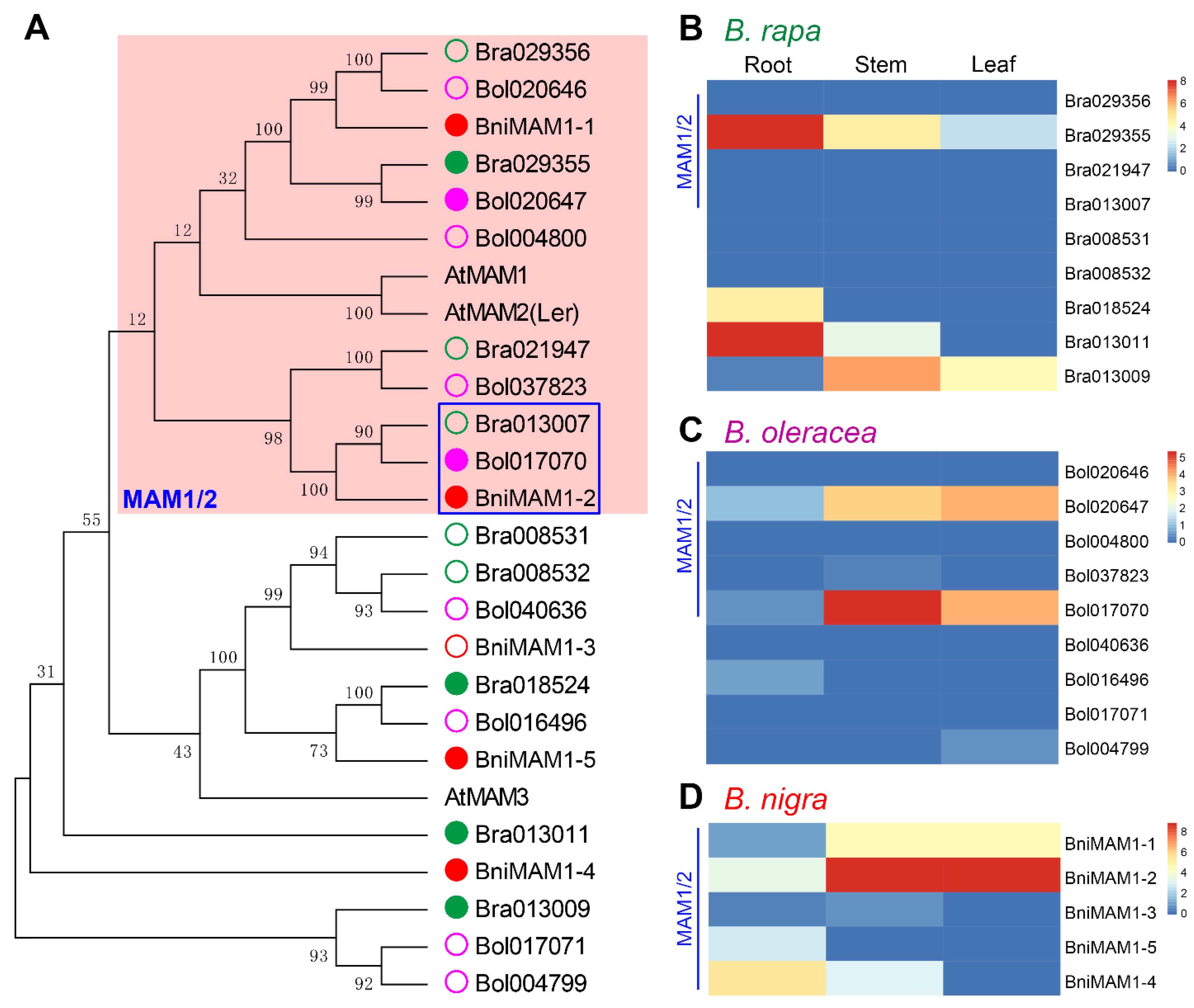 Horticulturae 07 00173 g006 550