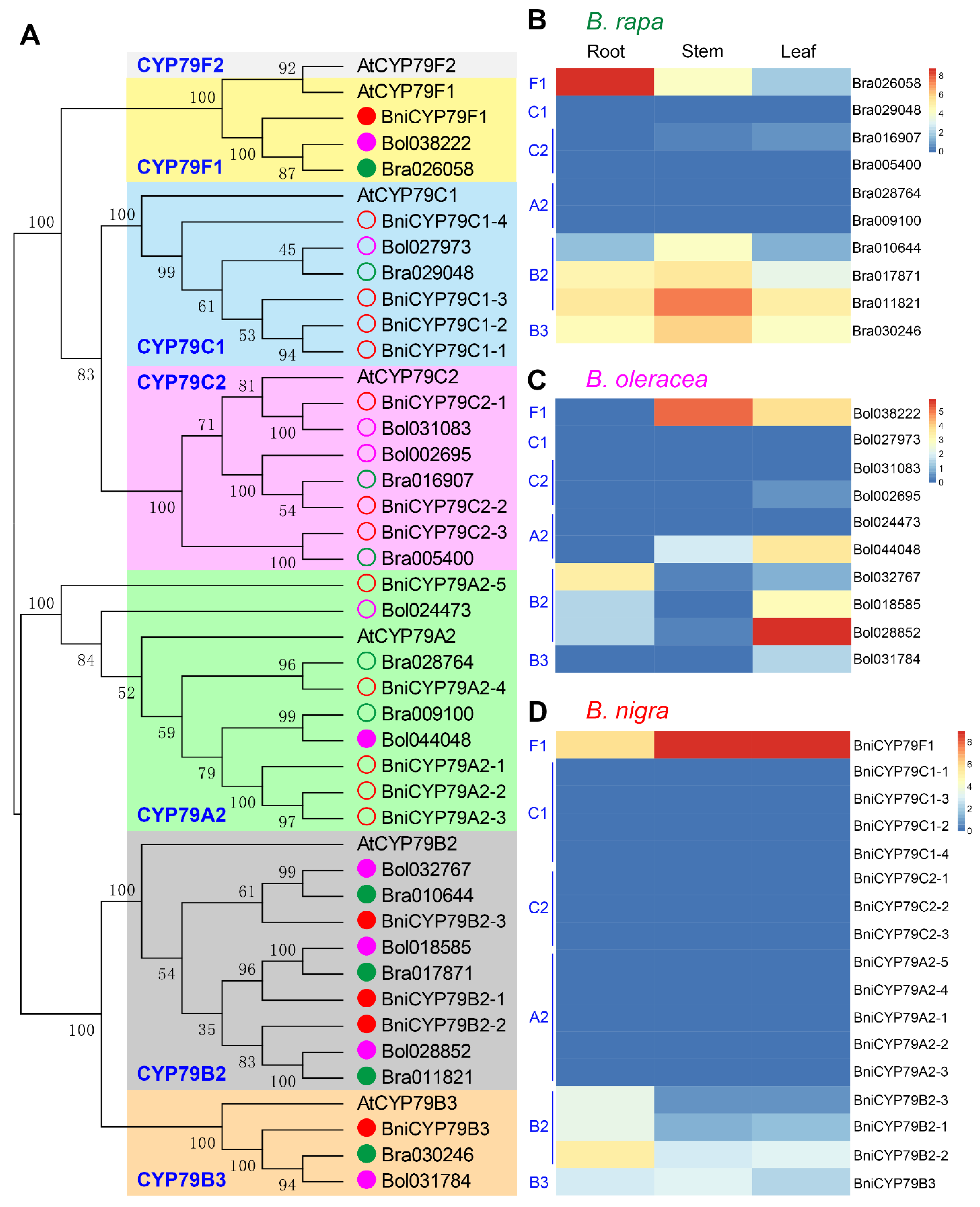 Horticulturae 07 00173 g007 550