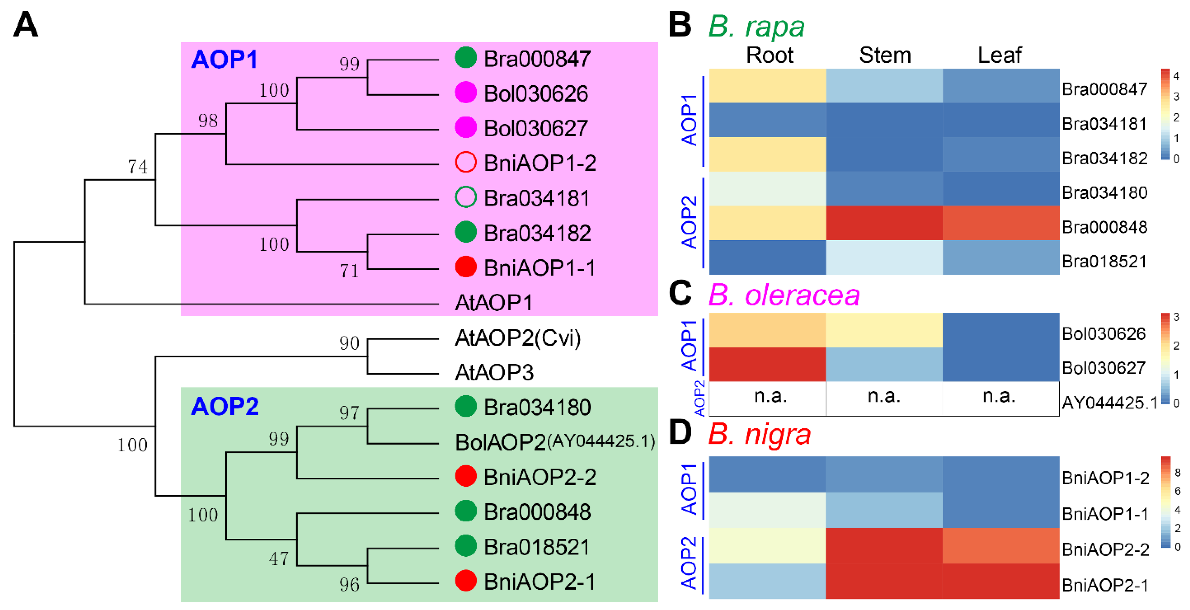 Horticulturae 07 00173 g008 550