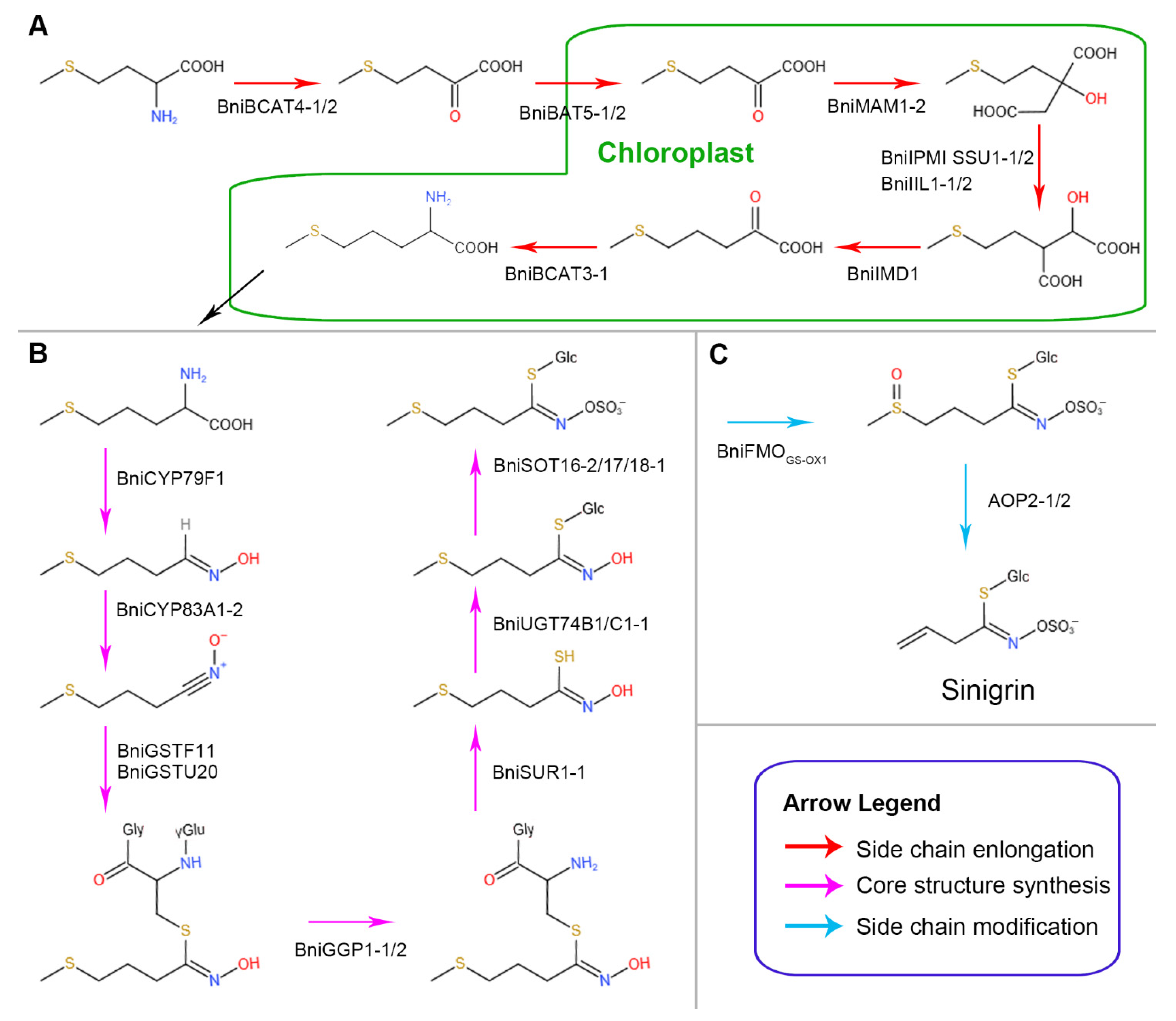 Horticulturae 07 00173 g009 550